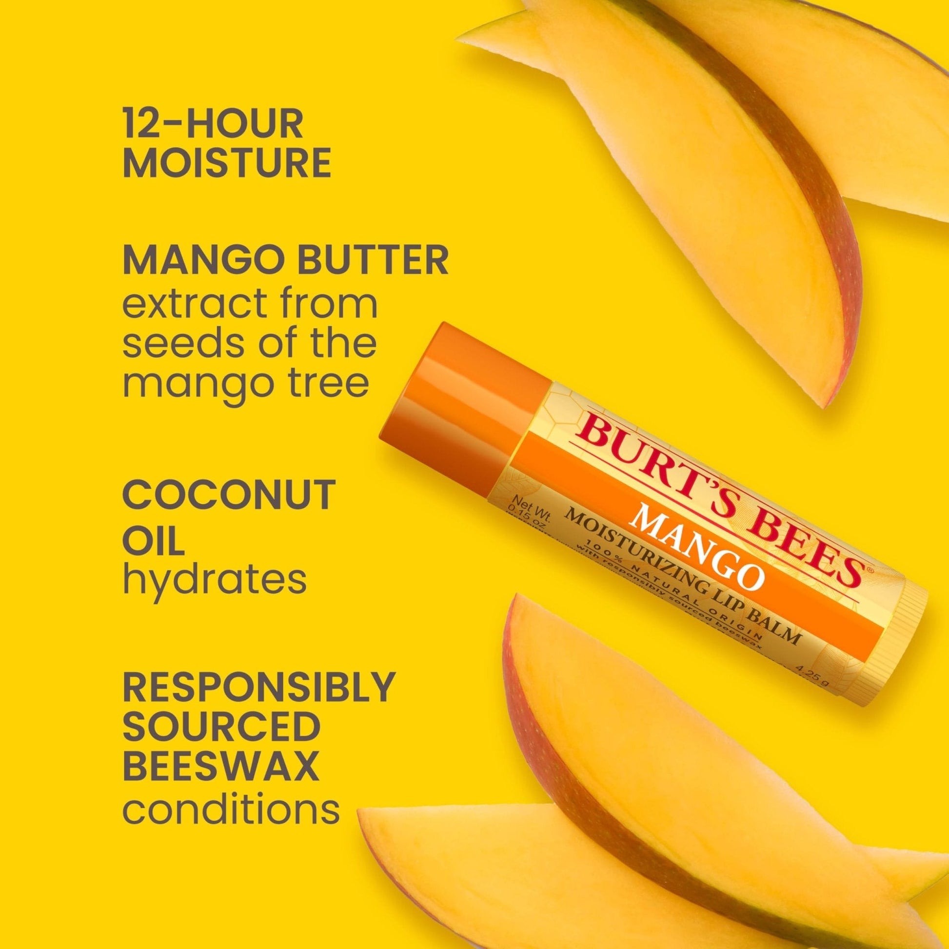 Burt's Bees 100% Natural Moisturizing Lip Balm (Superfruit) - Maple Wellness Supplements