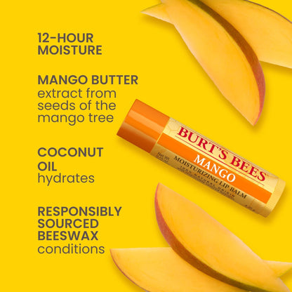 Burt's Bees 100% Natural Moisturizing Lip Balm (Superfruit) - Maple Wellness Supplements