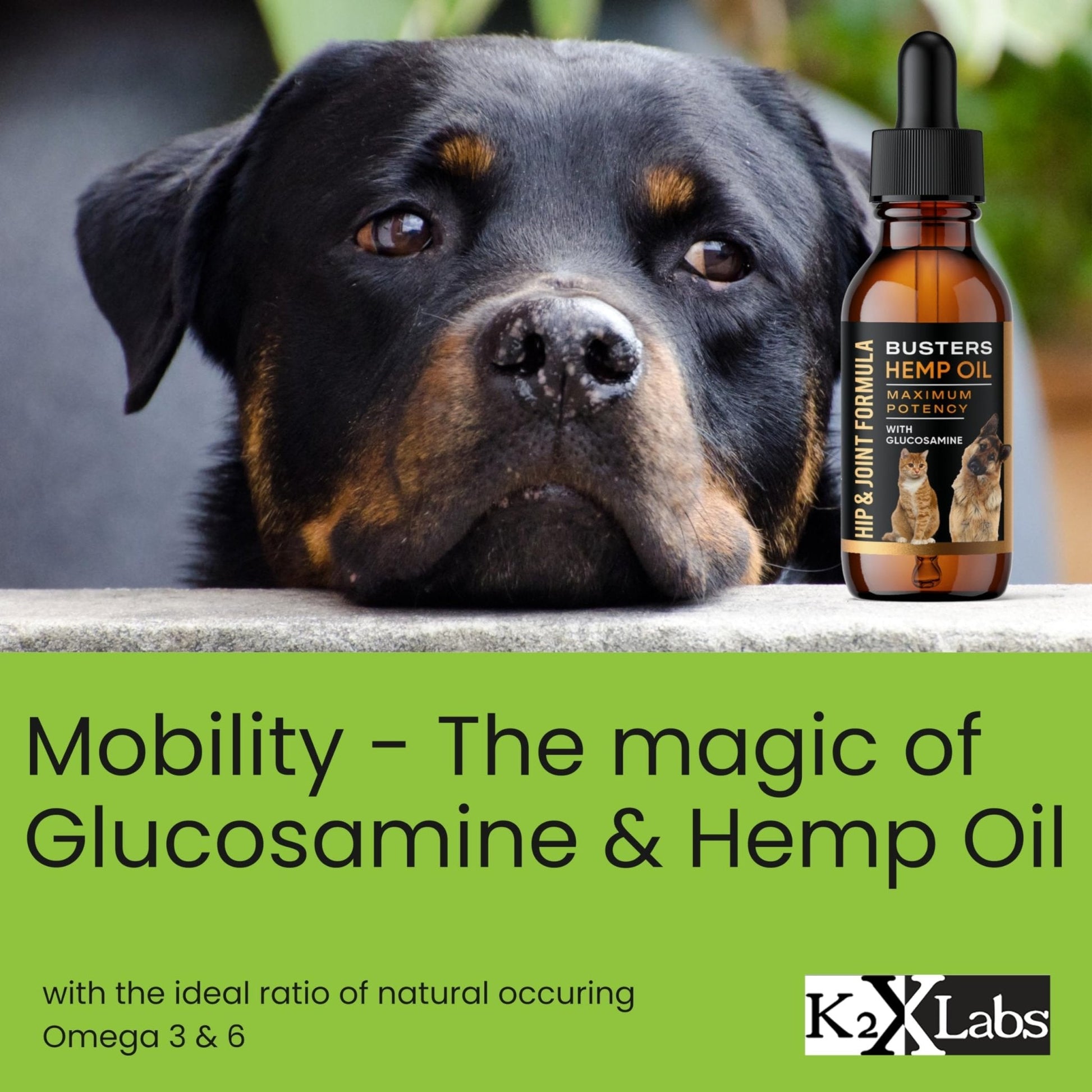 Busters Hip and Joint Hemp Oil Formula enriched with Glucosamine, Pain Relief for Dogs and Pets, Arthritis, and Advanced Mobility Support - Maple Wellness Supplements