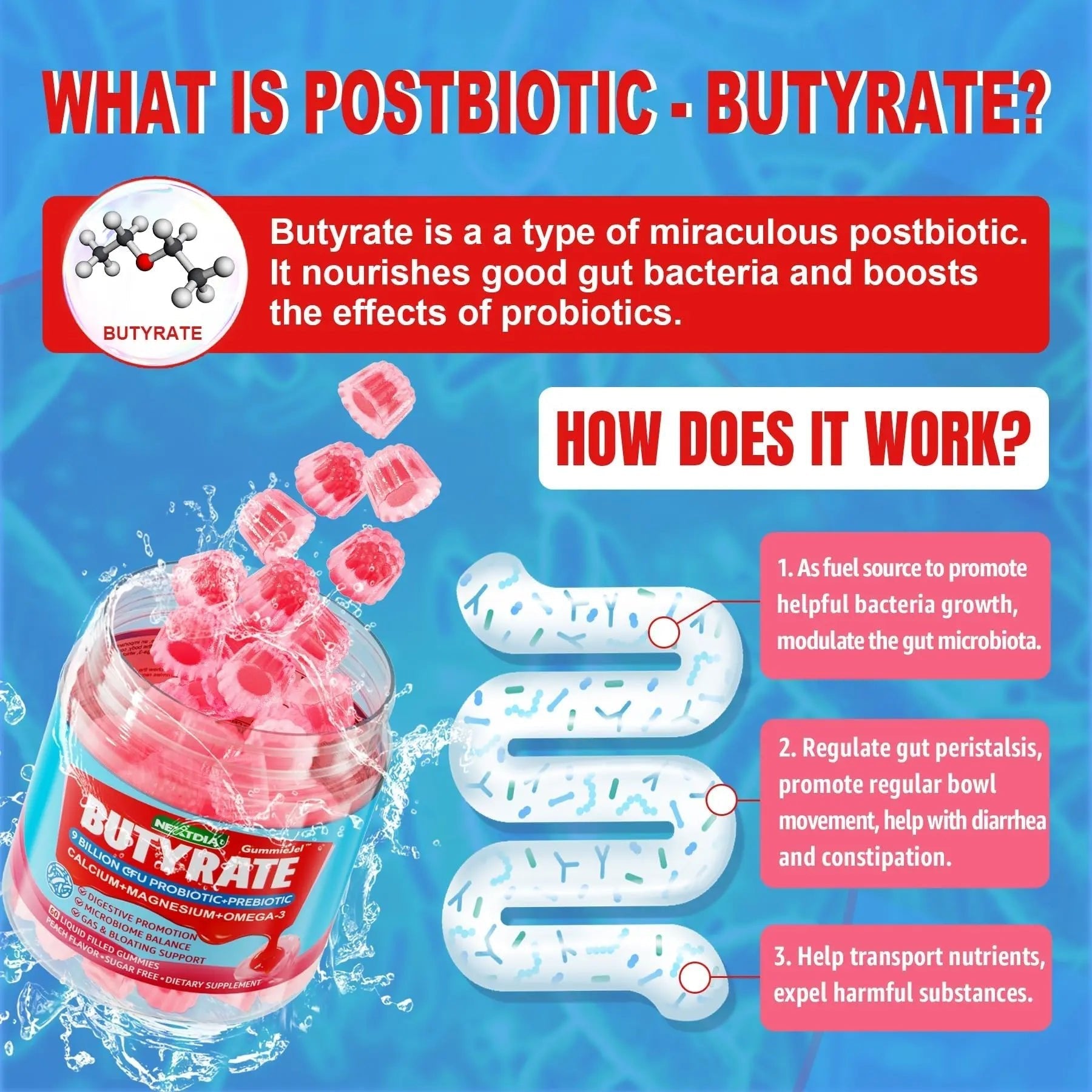 Butyrate Gummies with Probiotic + Prebiotic + Postbiotic, Omega-3 500mg,Fiber with 9 Billion CFU Probiotics, Calcium & Magnesium, Inulin,Psyllium Husk for Digestive Health,Bloating Support,Sugar Free - Maple Wellness Supplements