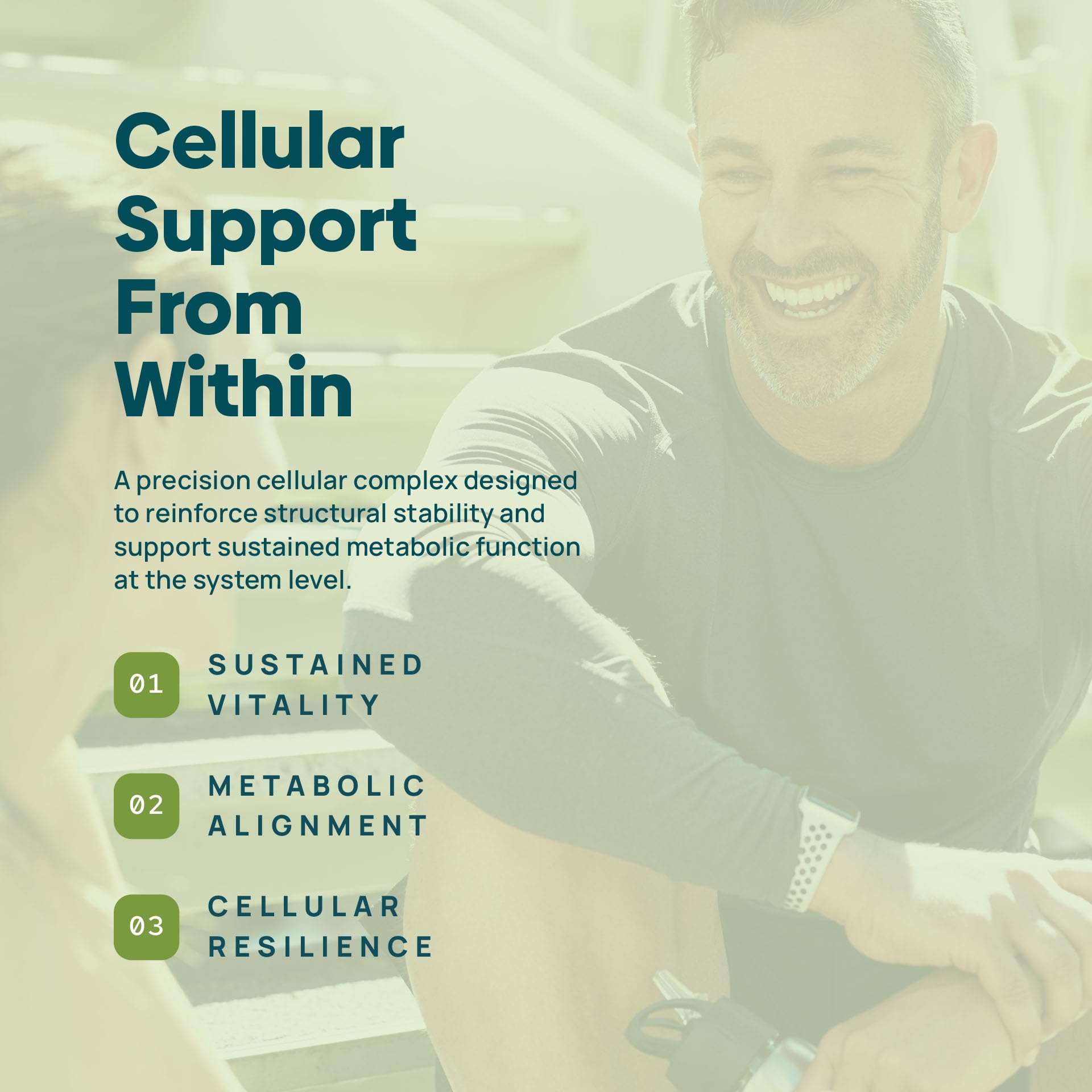 C15:0 Pentadecanoic Acid Supplement | Longevity, Cellular & Membrane Support, Micro-Granule Enhanced Absorption, Phosphatidylcholine, L-Carnitine, - Maple Wellness Supplements