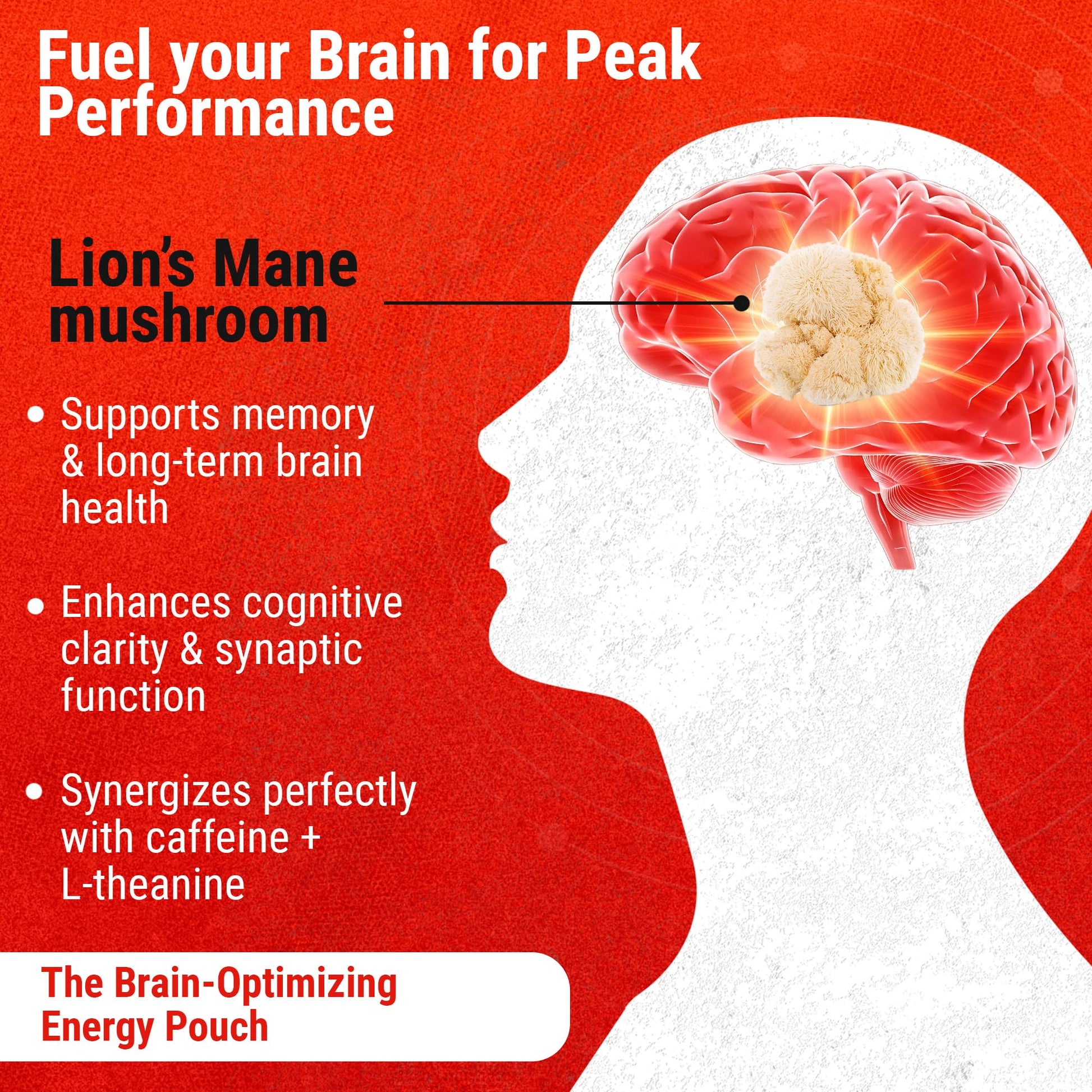 Cannadips - Brain Fuel Variety Pack - Nootropic Caffeine Pouches - 50mg Lion's Mane, 100mg Caffeine, 50mg L-Theanine, No Sugar - Clean Energy Brain Fuel for Cognitive Performance, Made in USA (5-PACK) - Maple Wellness Supplements