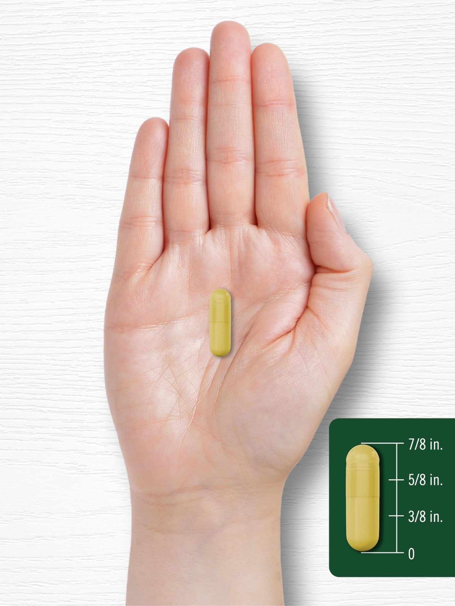 Carlyle Berberine HCL Supplement | 500,000mcg | 60 Capsules | Vegetarian, Non-GMO, Gluten Free - Maple Wellness Supplements