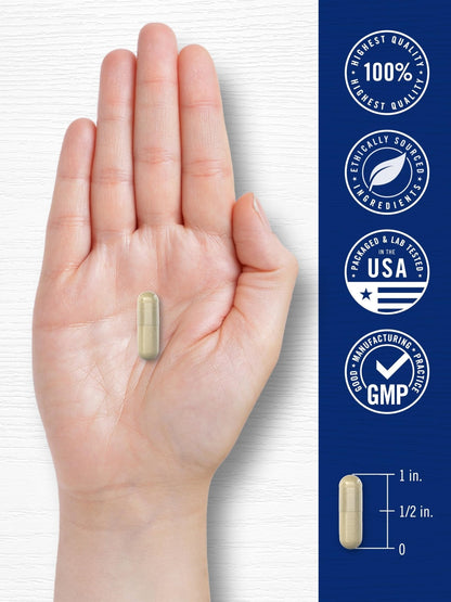 Carlyle Cortisol Supplement | 60 Vegan Capsules | Ashwagandha & Magnesium Complex | Non-GMO, Gluten Free - Maple Wellness Supplements