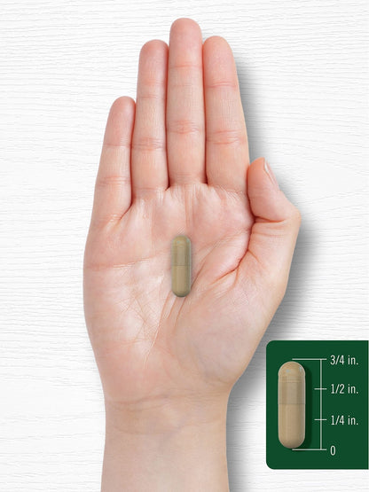 Carlyle Gotu Kola Capsules | 180 Count | Non-GMO, Gluten Free | Traditional Herb Extract - Maple Wellness Supplements