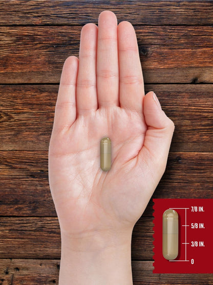 Carlyle Grass Fed Beef Organ Complex | 200 Capsules | Pasture Raised, Grain Free Supplement | with Desiccated Liver, Kidney, Pancreas, Heart, Spleen - Maple Wellness Supplements