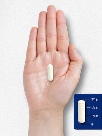 Carlyle L Methylfolate 15mg | 120 Capsules | Value Size | Max Potency | Optimized - Maple Wellness Supplements