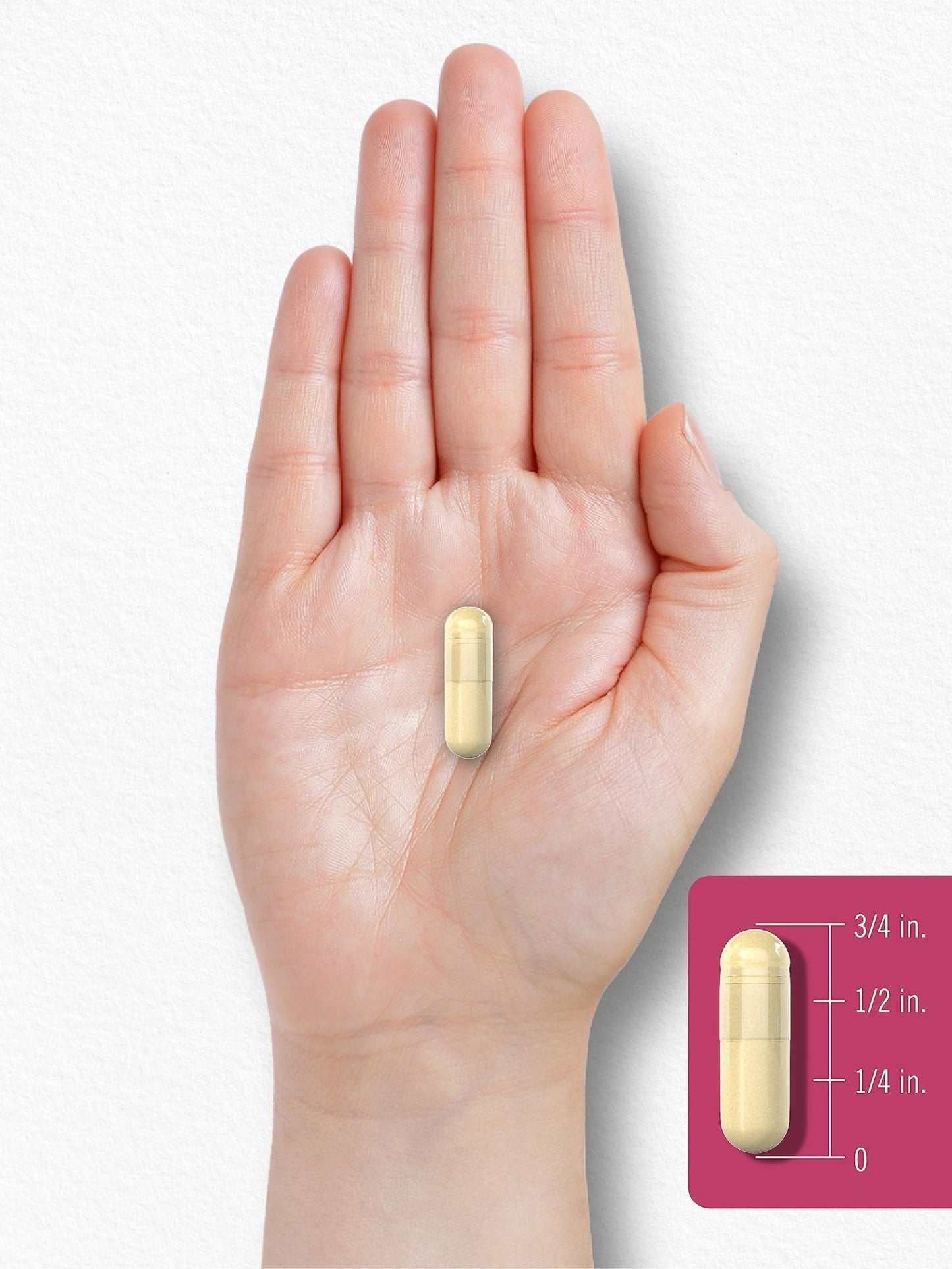 Carlyle Menopause Supplement for Women | 180 Capsules | Helps with Hot Flashes and Night Sweats | Non-GMO, Gluten Free Menopause Support - Maple Wellness Supplements