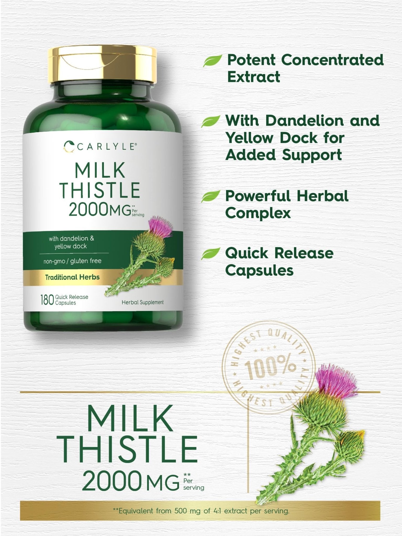 Carlyle Milk Thistle 2000mg | 180 Capsules | with Dandelion & Yellow Dock | Non-GMO - Maple Wellness Supplements
