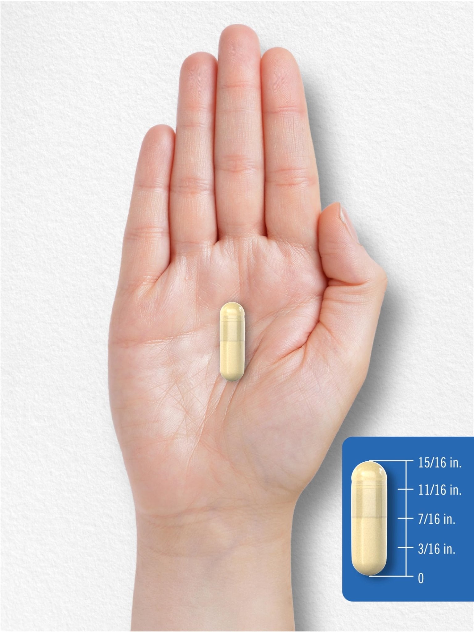 Carlyle Multi Collagen Protein Capsules 2000mg | 300 Count | Type I, II, III, V, X | Collagen Peptide Pills | Keto & Paleo Friendly - Maple Wellness Supplements