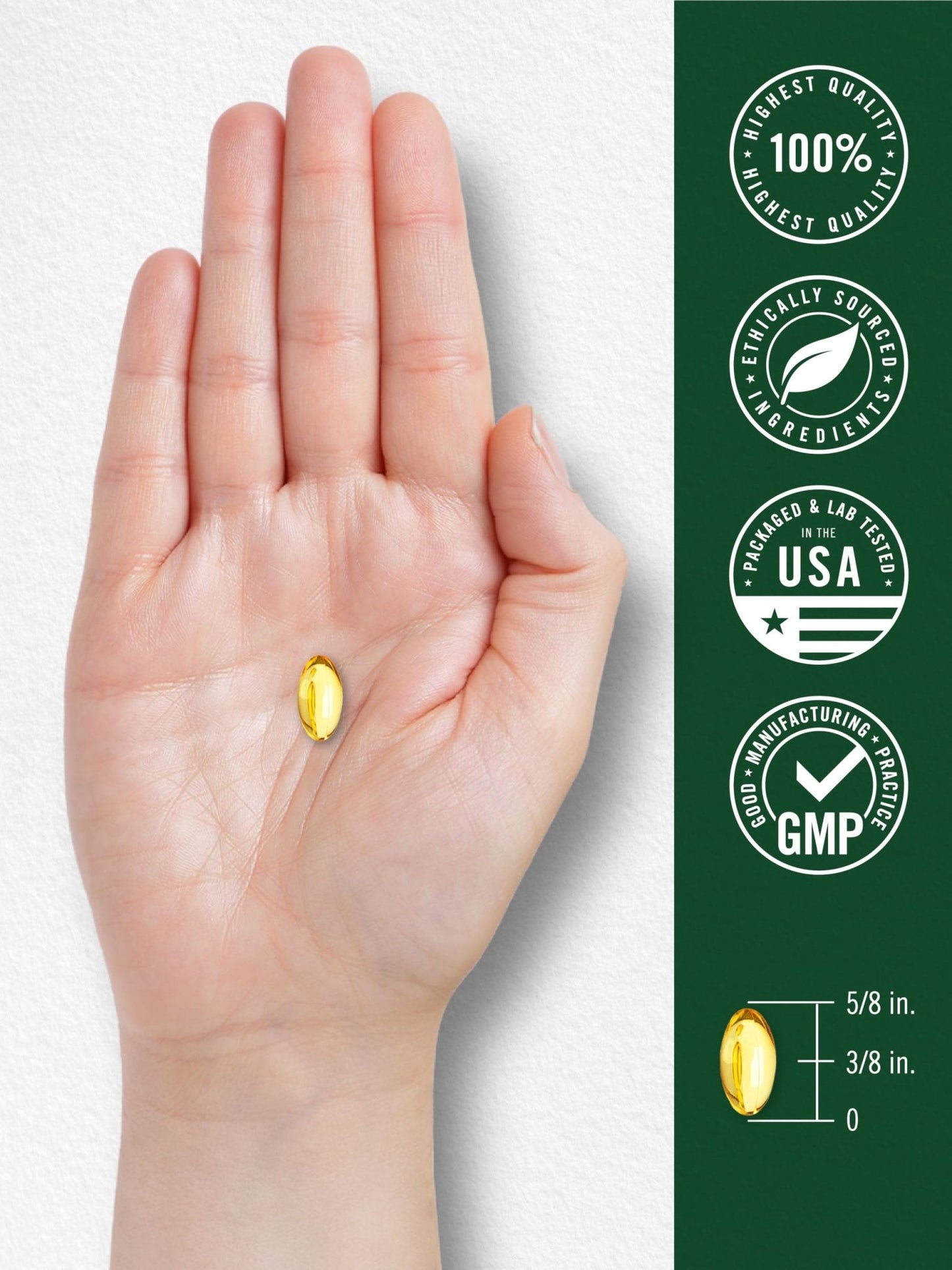Carlyle Oregano Oil Supplement | 150 Softgel Capsules | Contains Carvacrol | Non-GMO & Gluten Free Formula - Maple Wellness Supplements