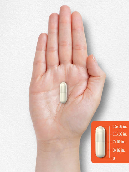 Carlyle Probiotic with Prebiotics & Postbiotics | 25 Billion CFU | 60 Capsules | Supplement for Women & Men | Powder Pills - Maple Wellness Supplements