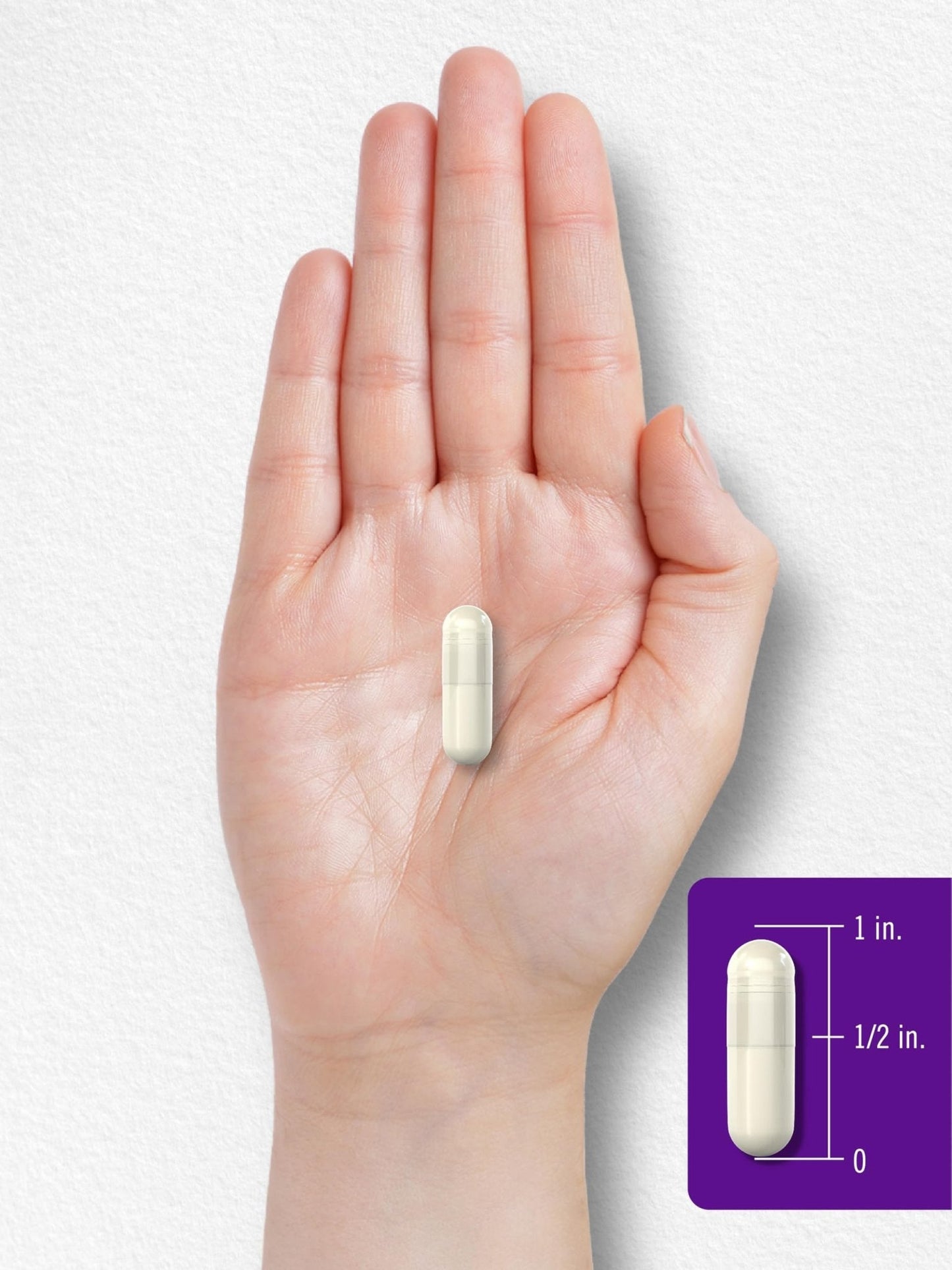 Carlyle Probiotics with Prebiotics | 120 Capsules | 50 Billion Active Organisms | Non-GMO & Gluten Free Supplement - Maple Wellness Supplements