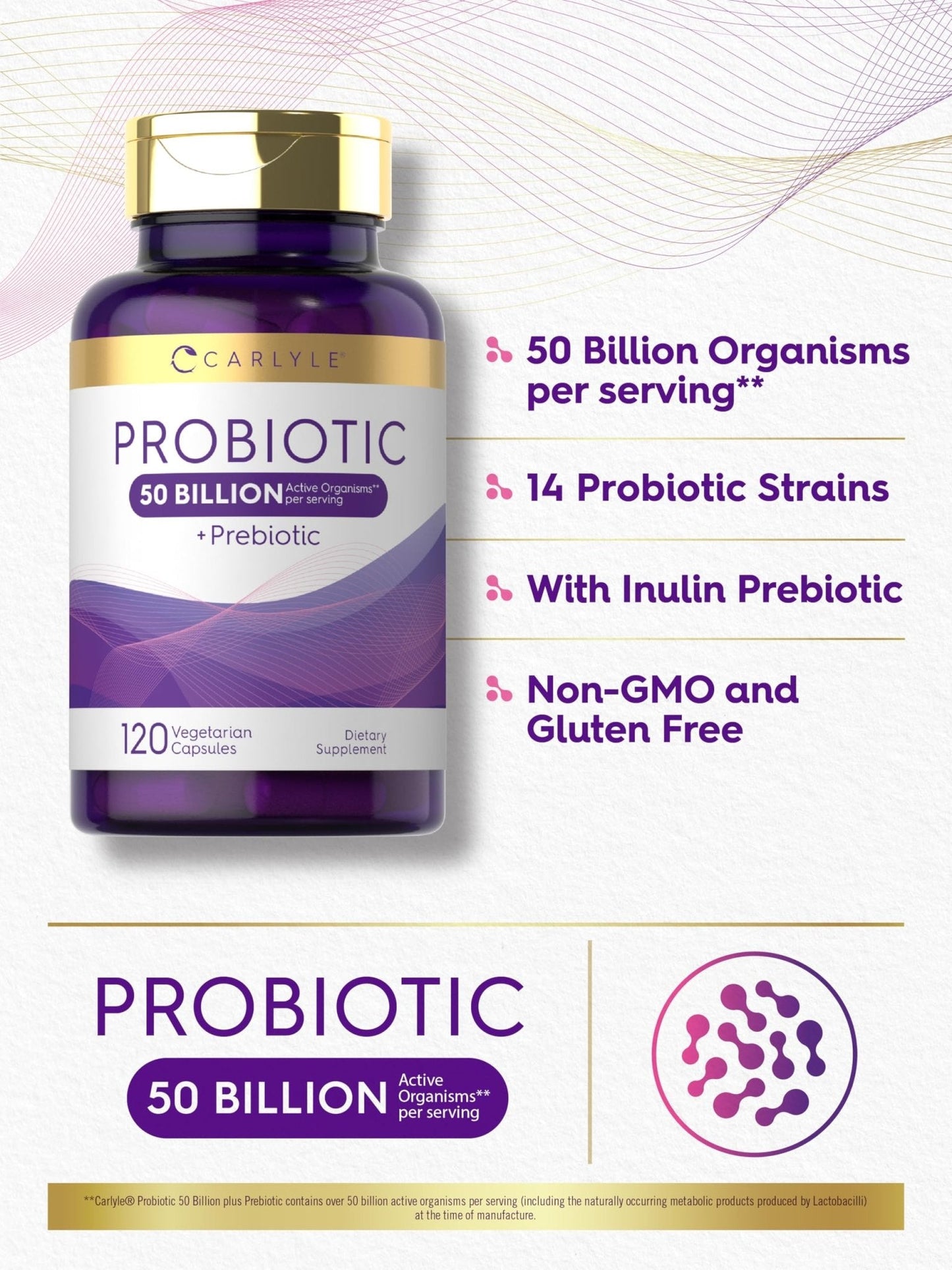 Carlyle Probiotics with Prebiotics | 120 Capsules | 50 Billion Active Organisms | Non-GMO & Gluten Free Supplement - Maple Wellness Supplements