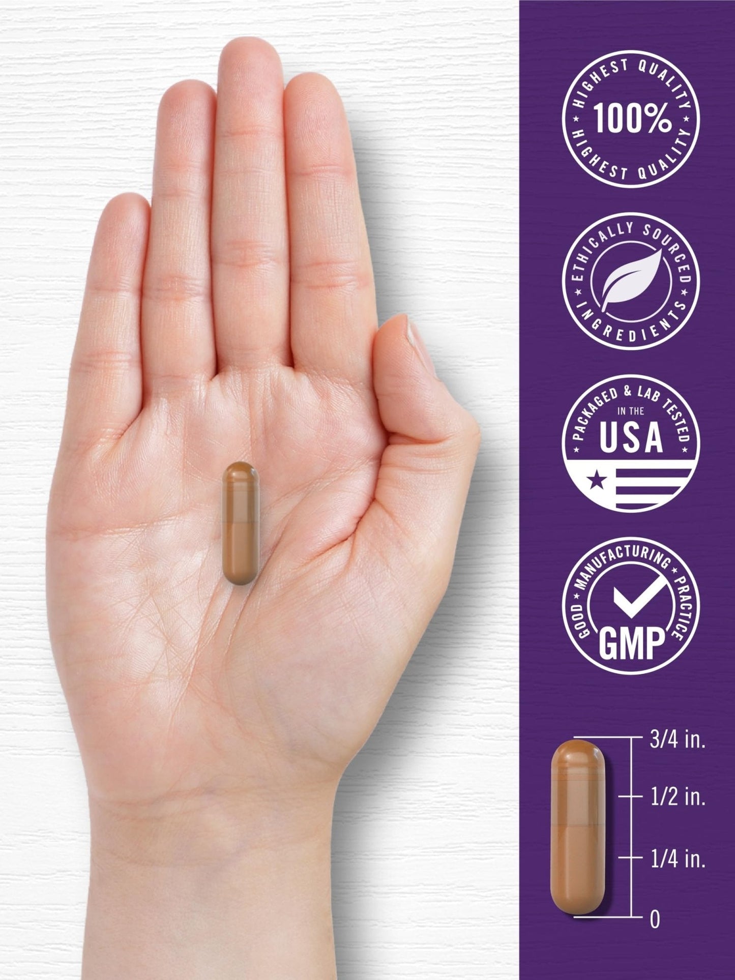 Carlyle Resveratrol Complex - 180 Capsules - Trans Resveratrol Supplement with Grape Seed Extract - Non GMO, Gluten Free - Maple Wellness Supplements