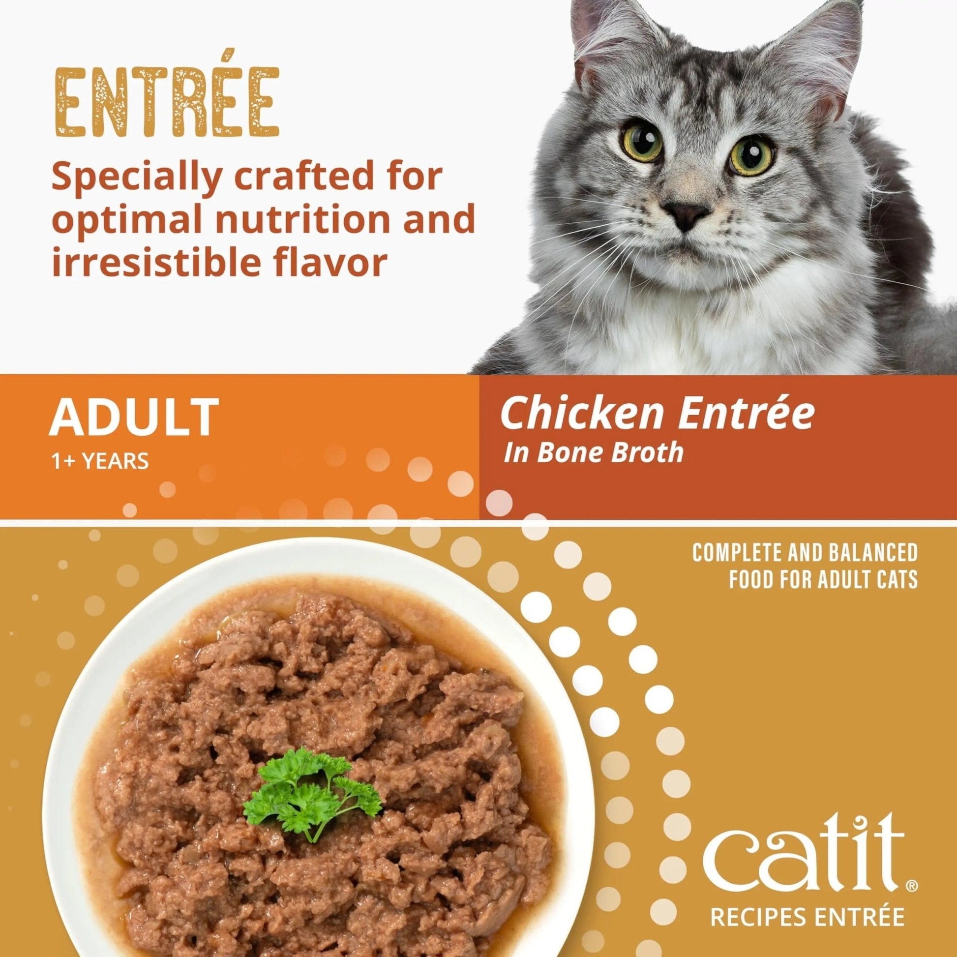 Catit Recipes Adult Chicken Entrée – High-Protein Wet Cat Food with Bone Broth Hydration, Prebiotics & Postbiotics for Gut Health, Omega-3 for Skin & Coat, and Taurine for Heart Support 3oz (12/cs) - Maple Wellness Supplements