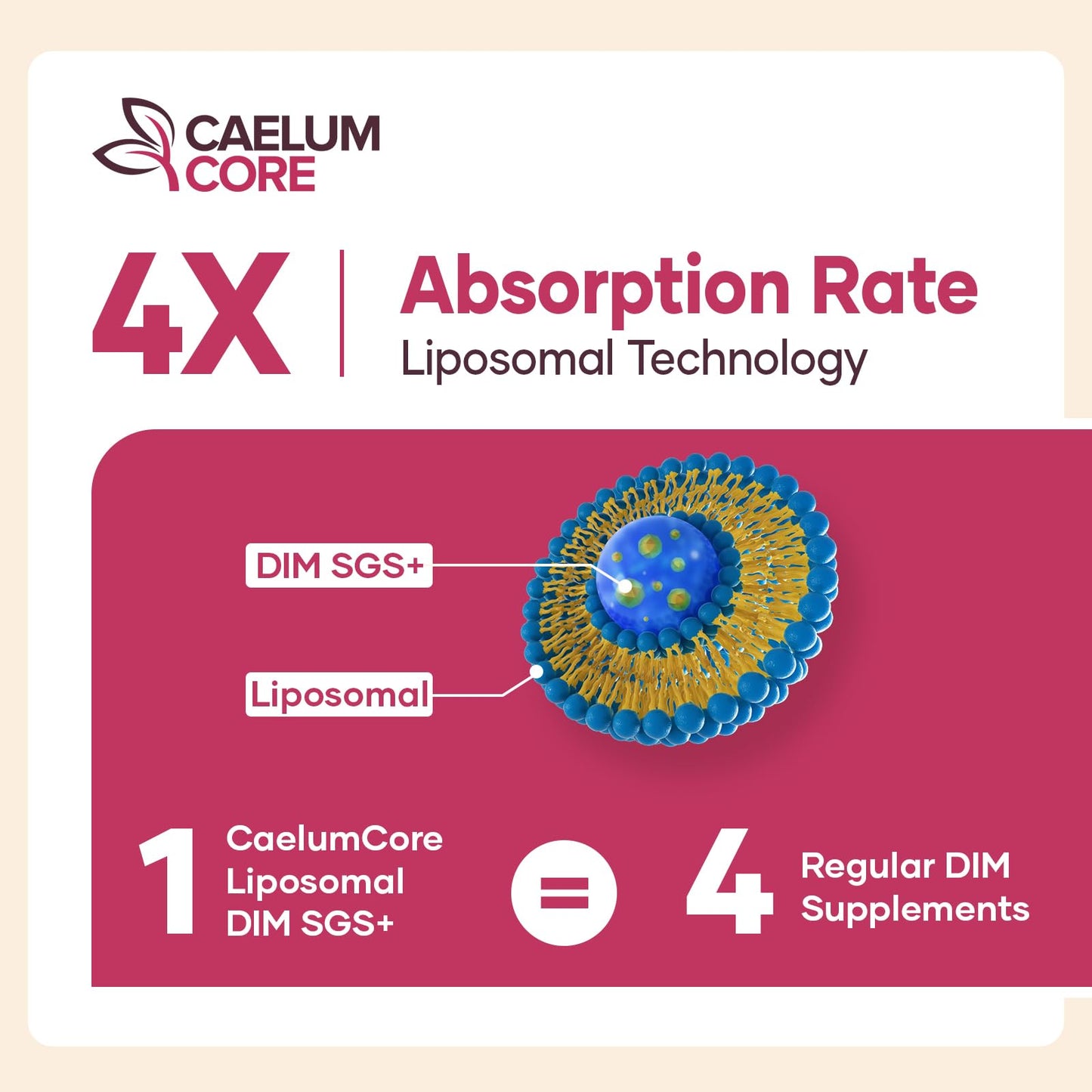 CEALMU CORE Liposomal DIM SGS Supplement - Estrogen Supplements for Women & Men Contains Sulforaphane Glucosinolate, Vitamin E, Pomegranate Fruit - Support Detox and Antioxidant (1 Pack) - Maple Wellness Supplements