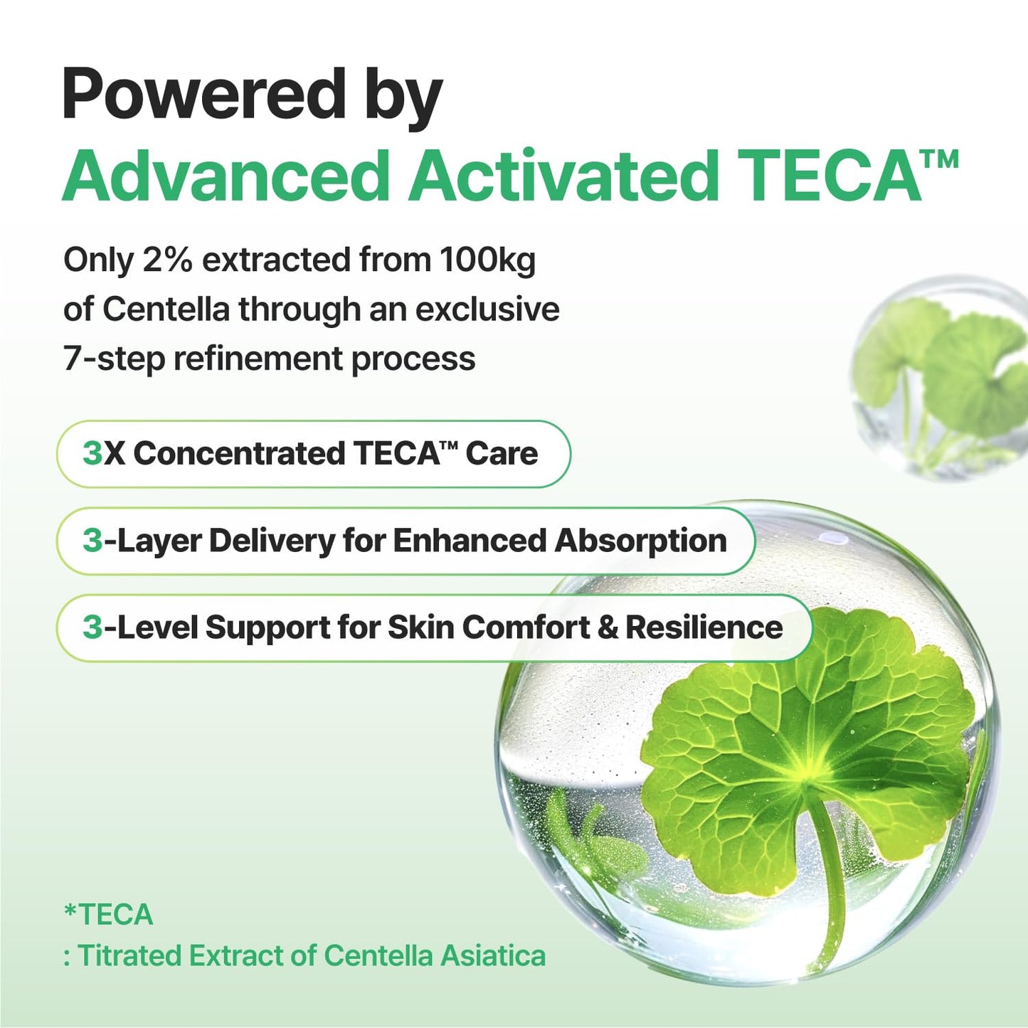 CENTELLIAN 24 Madeca Cream Time Reverse (1.69 fl oz) - TECA Centella Asiatica Glow Face Cream Moisturizer, Hydrating - Maple Wellness Supplements