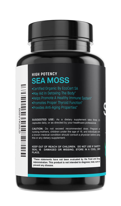 Certified Organic Sea Moss Capsules 2250mg Wildcrafted Irish Sea Moss Burdock Root - Maple Wellness Supplements
