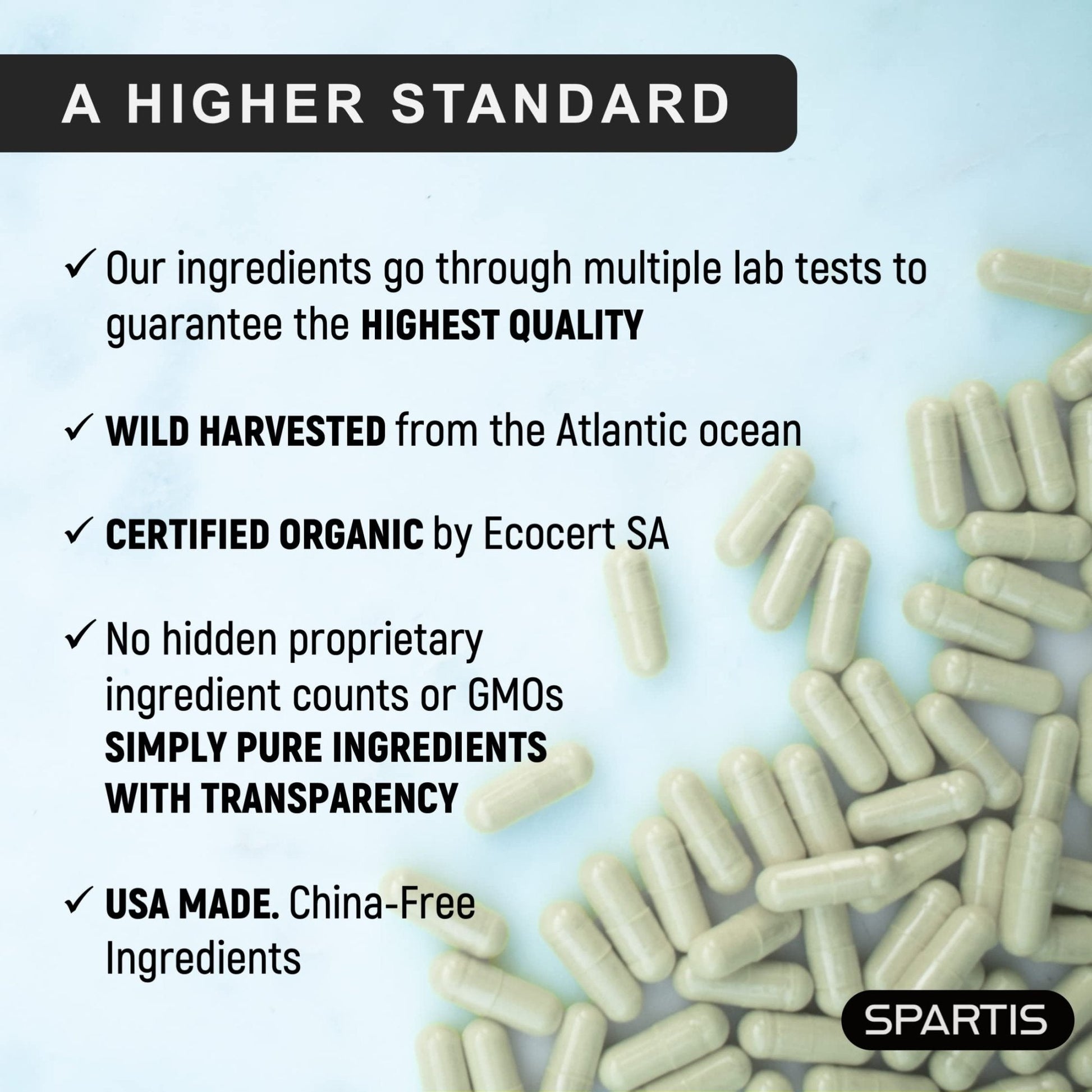 Certified Organic Sea Moss Capsules 2250mg Wildcrafted Irish Sea Moss Burdock Root - Maple Wellness Supplements