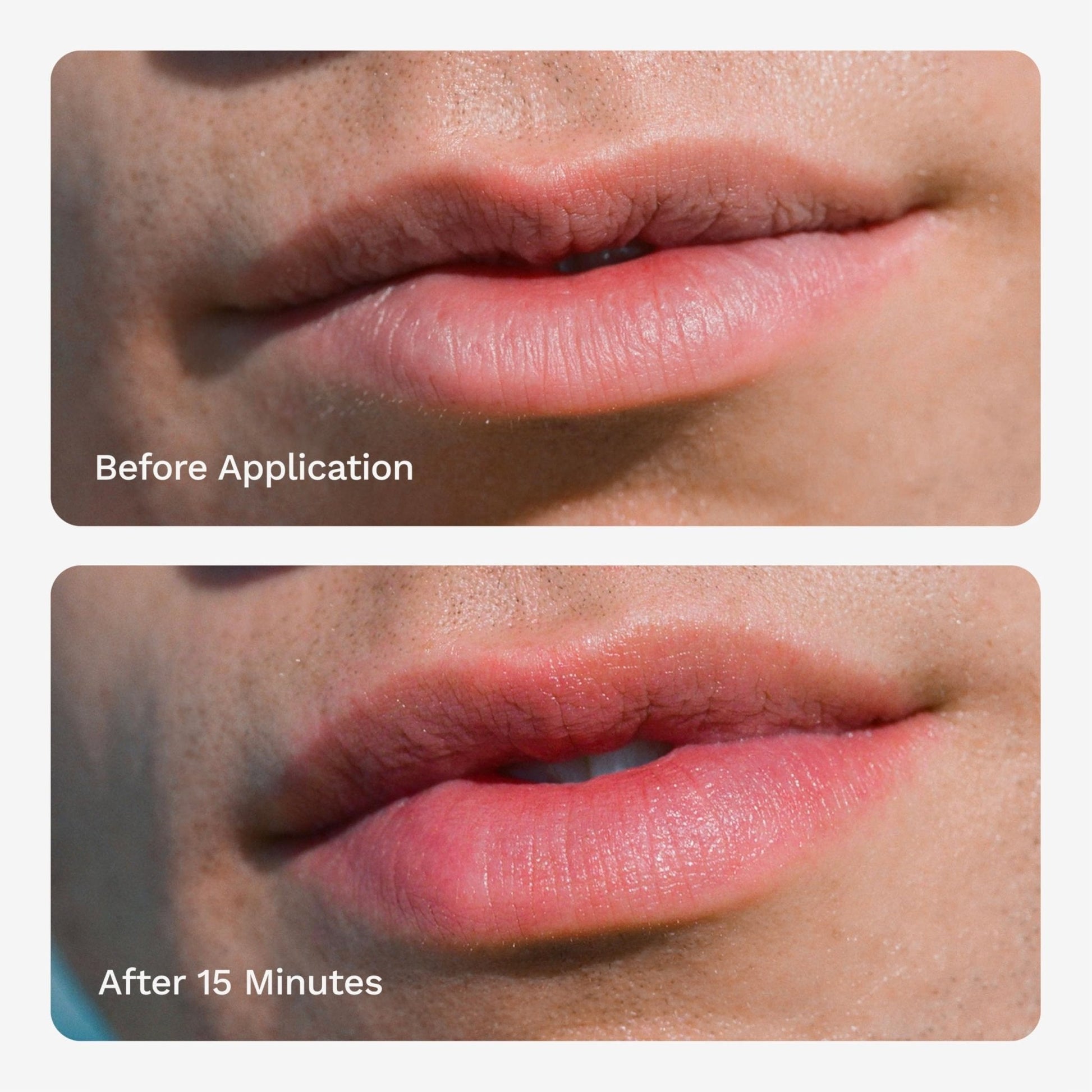 Chaddy Matte Lip Plumper - Hydrating Lip Plumper with Hyaluronic Acid | Plumping Lip, Natural Lip Care and Enhancer - 0.5 fl.oz (Original Flavor) - Maple Wellness Supplements