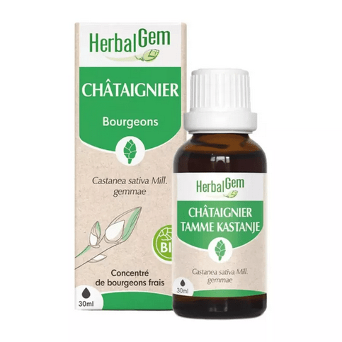 Chataignier BIO Macerat mère Bourgeons Flacon 30 ml HERBALGEM - Maple Wellness Supplements