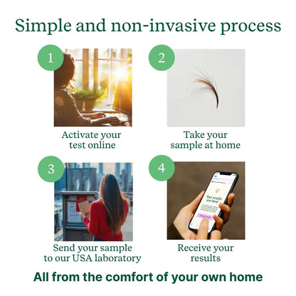 Check My Body Health 990 Items Complete Food Sensitivity Test Kit for Adults and Kids – Non-Invasive Food Intolerance Test Kit – at-Home Hair Sample Bioresonance Testing with Results in 3–5 Days - Maple Wellness Supplements