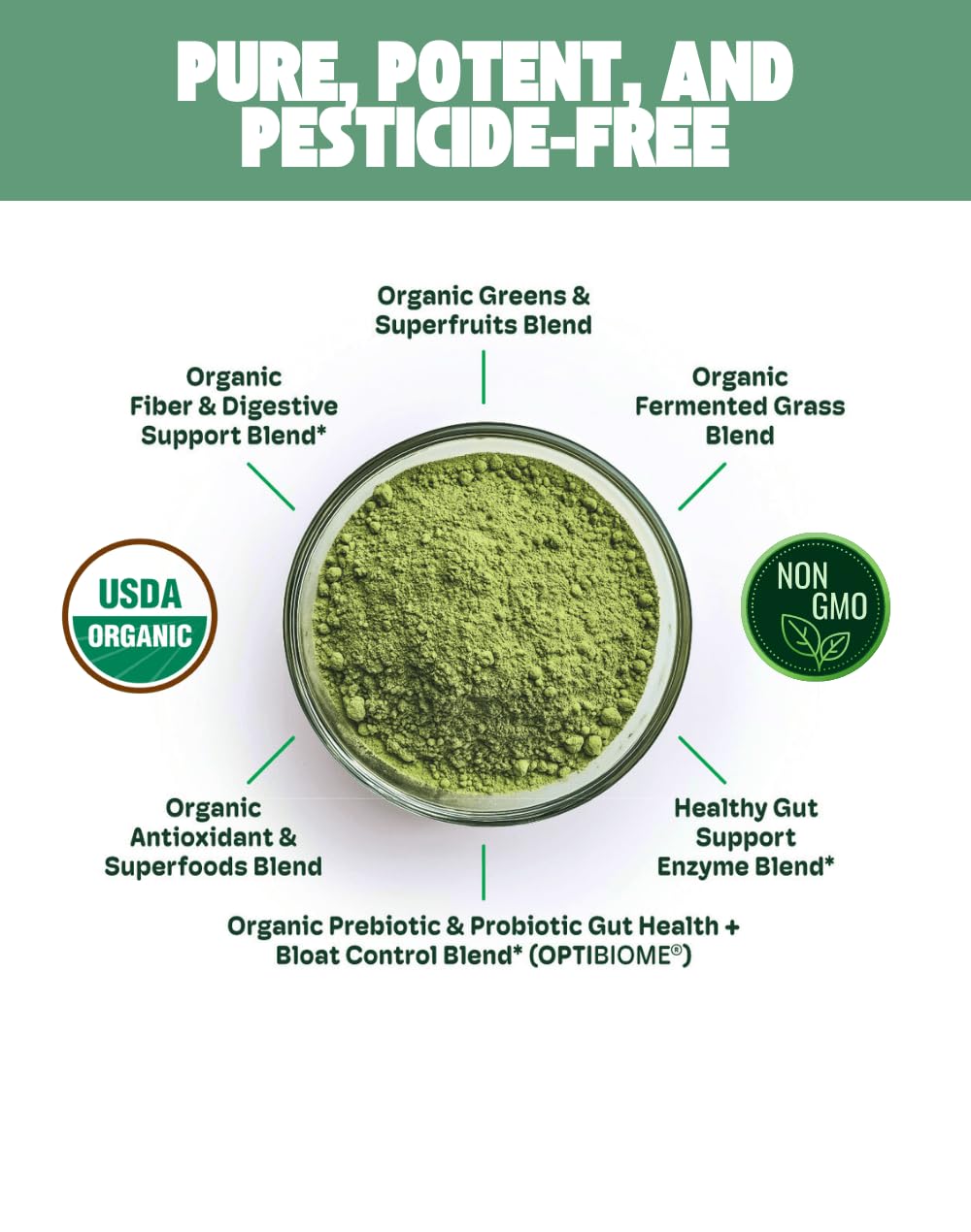 Cheerific Crisp Apple Greens Superfood Powder - 20+ Organic Superfoods + Prebiotic & Probiotics + More - Keto Friendly - Supports Positive Mood, Gut Health - Vegan, Gluten Free, Non-GMO - 30 Day - Maple Wellness Supplements