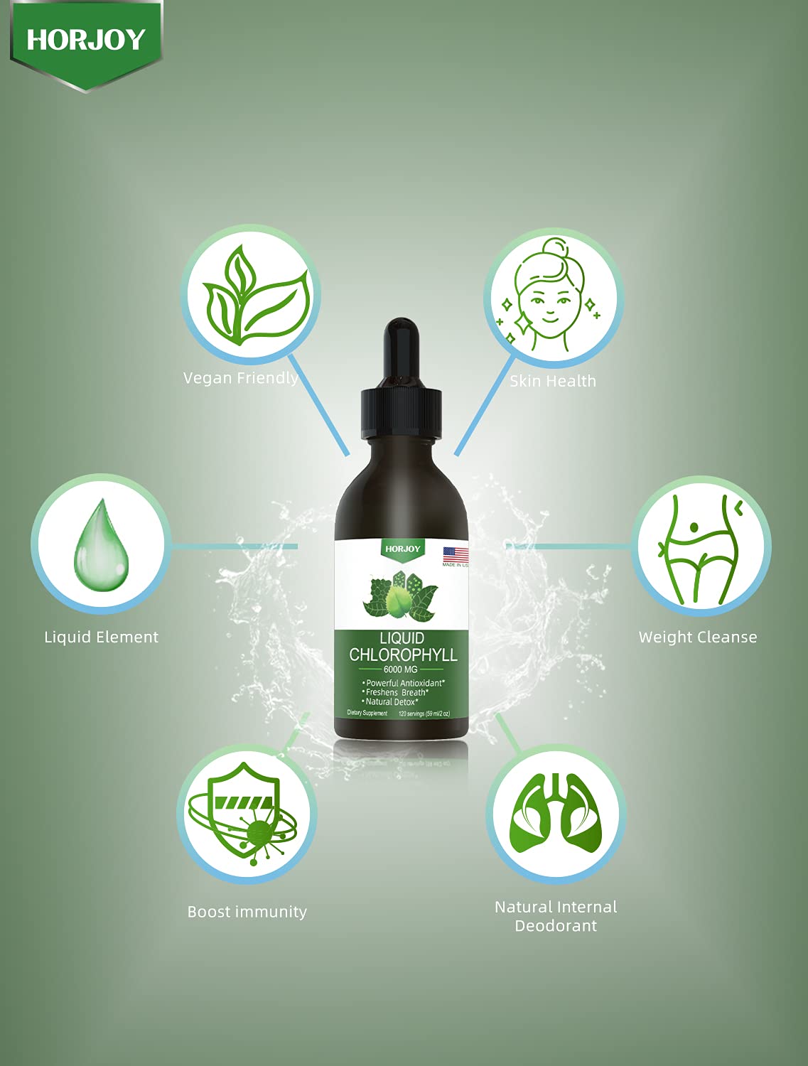 Chlorophyll Liquid Drops - 100% Natural Energy Booster and Immune Support - Internal Deodorant and Detox - Altitude Sickness Relief - Fast Absorption - Maple Wellness Supplements