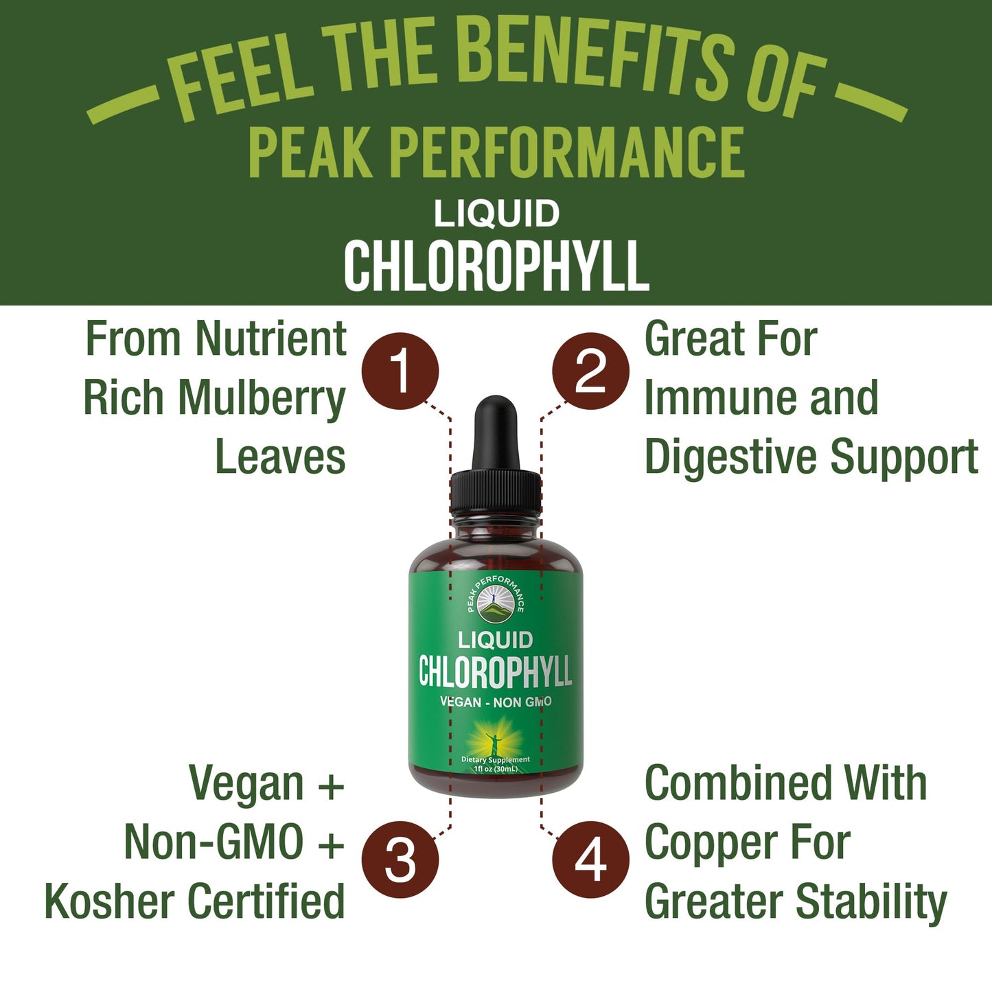 Chlorophyll Liquid Drops - Ultra High Purity, Alcohol Free, Non-GMO, Gluten Free Liquid Chlorophyll Drops Supplement. Take with Water. Internal Deodorant + Skin Care, Immune, and Digestive Support - Maple Wellness Supplements
