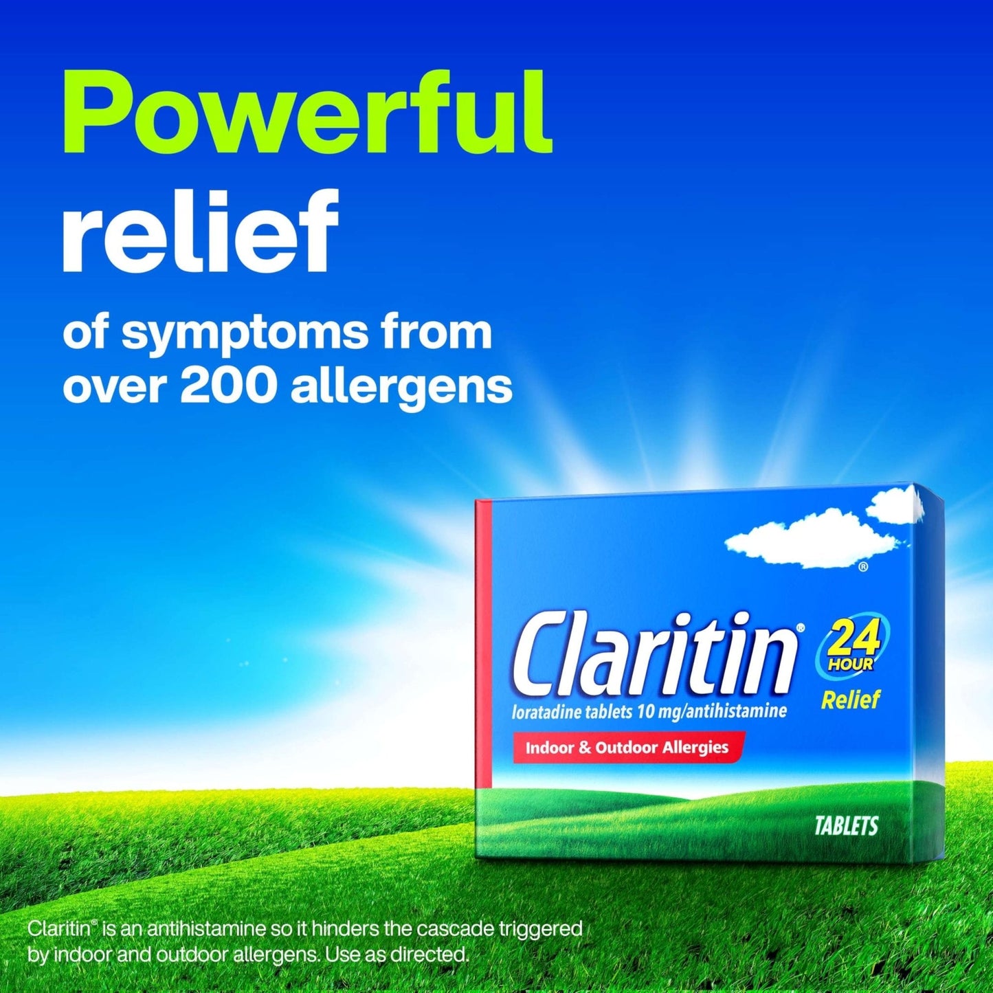 Claritin 24 HR Non Drowsy Allergy Medicine, Loratadine antihistamine tablets, 10 Ct - Maple Wellness Supplements