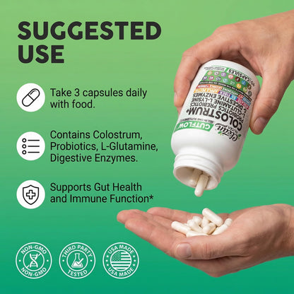 Clean Nutraceuticals Colostrum Supplement Capsules Probiotics Pills Prebiotics, L-Glutamine, Digestive Enzymes, Folate, Fiber, ACV, Turmeric, Apple Pectin and Turmeric Pills - Maple Wellness Supplements
