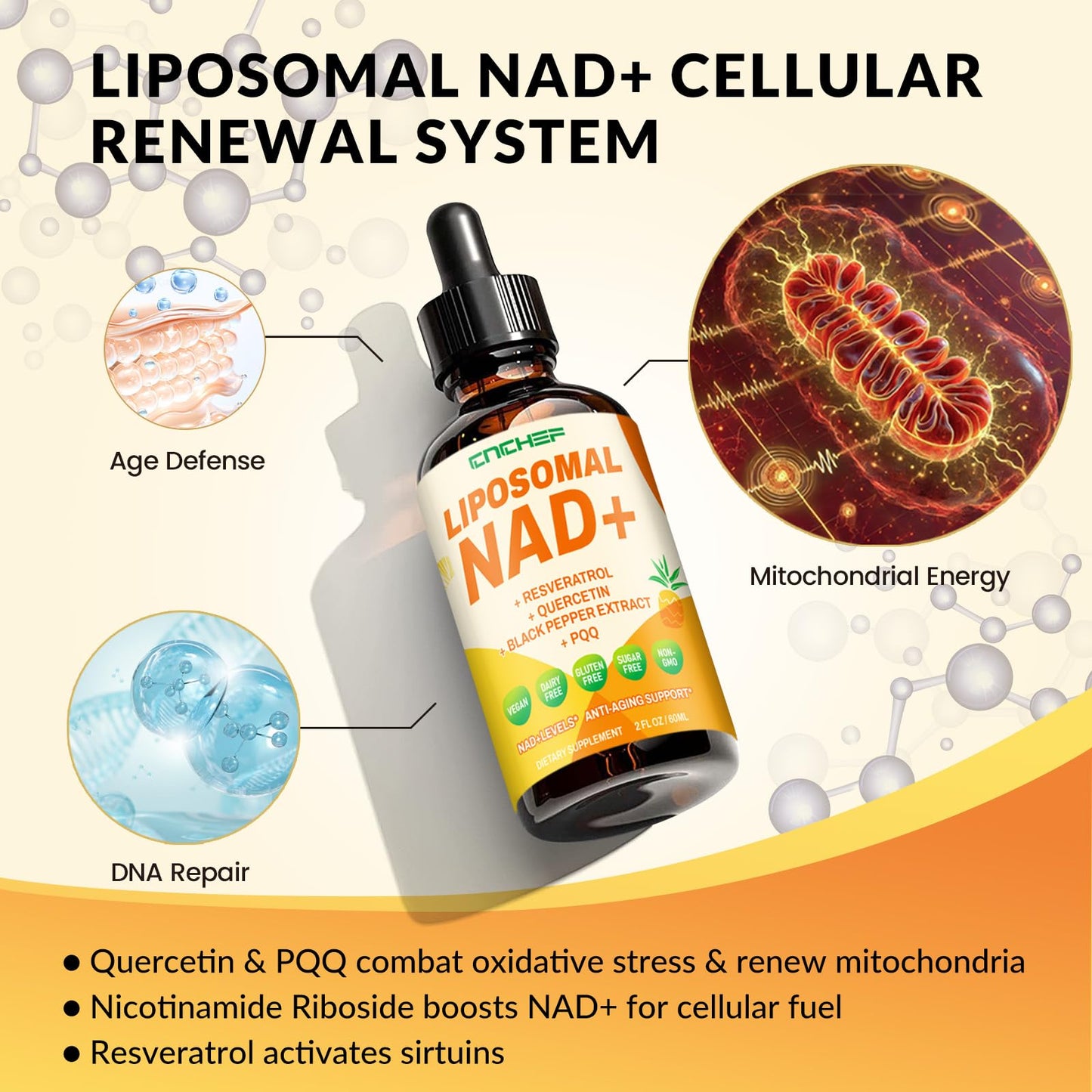 CNCHEF Liposomal NAD Supplement - 1500mg NAD+ Liquid Drop for Women & Men Nicotinamide Riboside Chloride & Resveratrol Complex - Cellular Renewal, Anti-Aging Support - 30 Servings (2 fl oz) - Maple Wellness Supplements