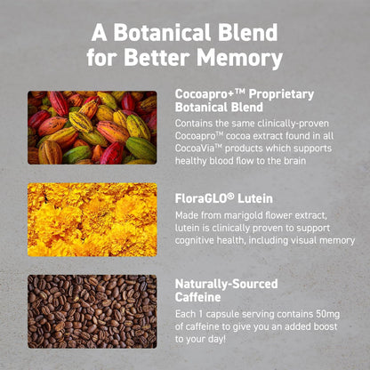 CocoaVia Memory & Focus Brain Supplement, 30 Day, Cocoa Flavanol Blend, Lutein, Added Caffeine for Boost. Improve Cognitive Function, Attention, Vegan & Plant Based, 30 Capsules - Maple Wellness Supplements