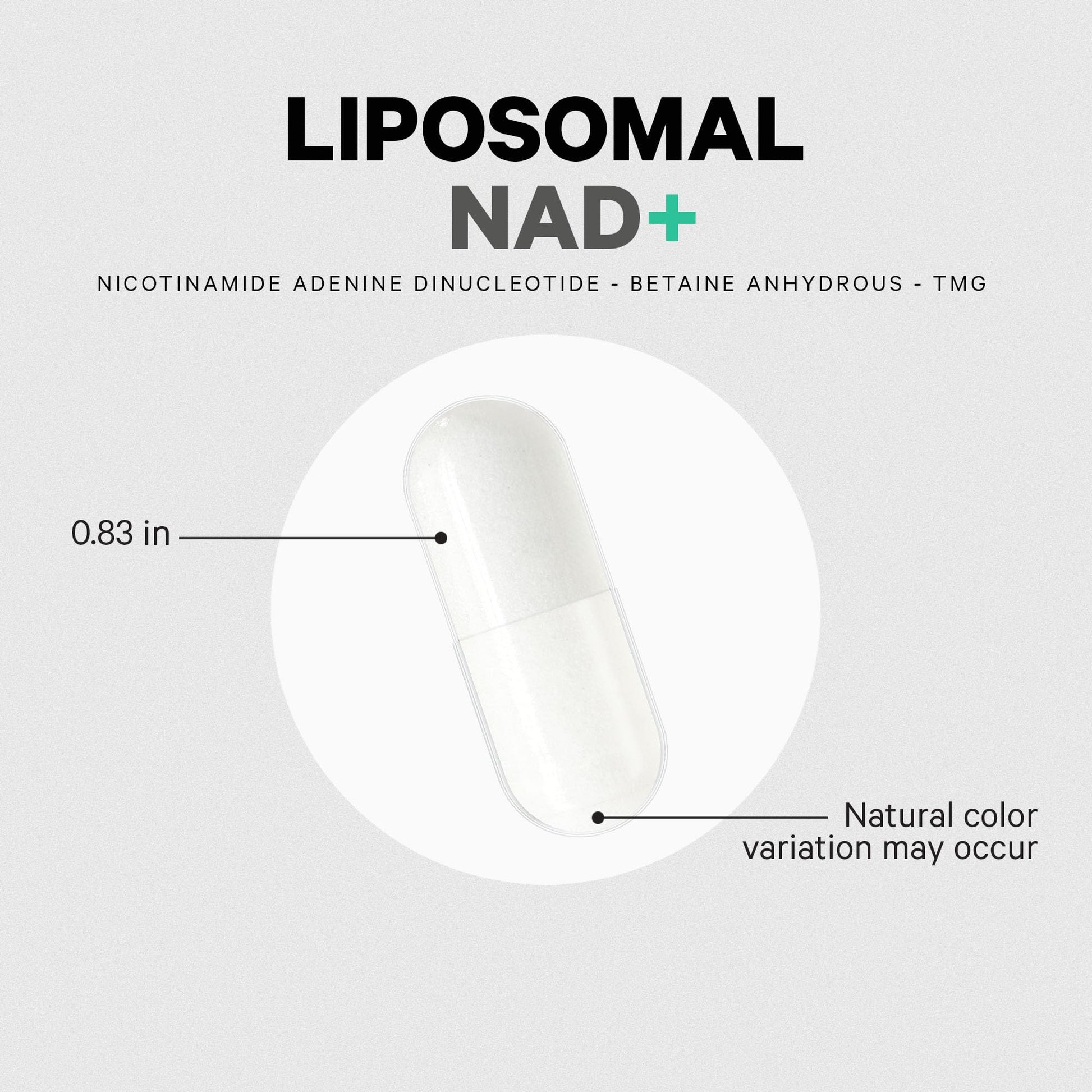 Codeage Liposomal NAD+ Supplement - NAD Nicotinamide Adenine Dinucleotide Coenzyme Pills - 500 mg NAD+ Per Serving & Betaine Anhydrous - Liposomal Delivery - Vegan, Non-GMO, Gluten-Free - 60 Capsules - Maple Wellness Supplements