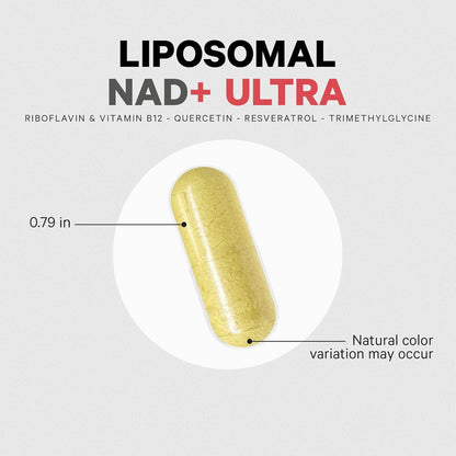 Codeage Liposomal NAD+ with Resveratrol & Vitamin B - NAD Plus Ultra for Energy & Healthy Aging Support - NAD Vitamin Supplement with Quercetin, Betaine, Riboflavin - Bioavailable - 90 Capsules - Maple Wellness Supplements