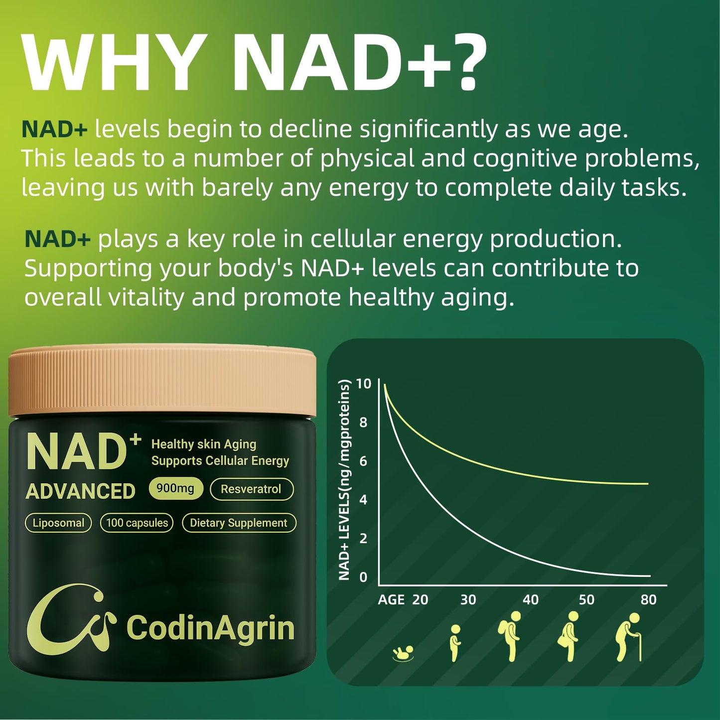 CodinAgrin NAD+ Supplement with Resveratrol 900mg Nicotinamide Adenine Dinucleotide Complex for Cellular Energy Repair, Anti-Aging & Mental Clarity Support, Non-GMO, Vegetarian Friendly, 100 Capsules - Maple Wellness Supplements