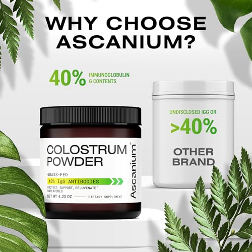 Colostrum Powder - Grass-Fed 40% IgG Colostrum Supplement Powder - Bovine - Maple Wellness Supplements
