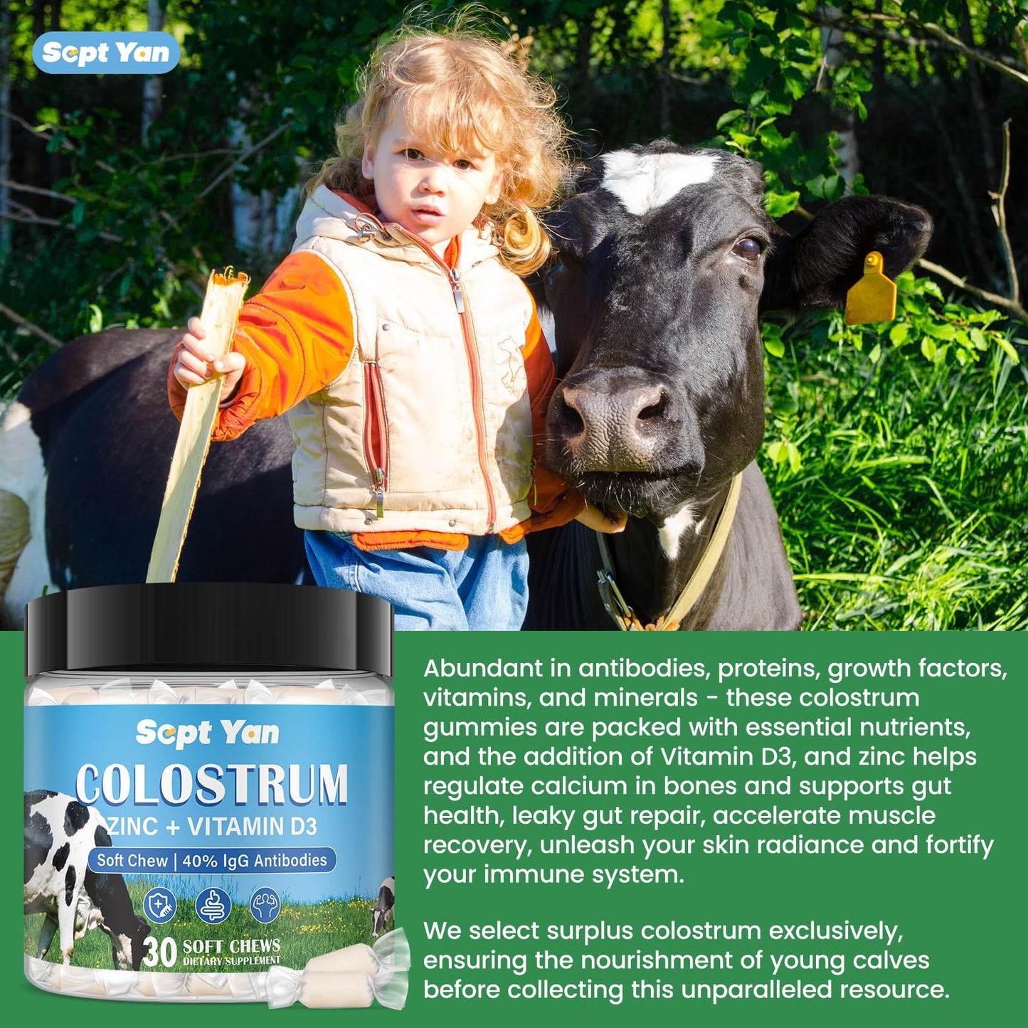 Colostrum Soft Chew Supplement (3000mg + 40% IgG), Concentrated Bovine Colostrum - Maple Wellness Supplements
