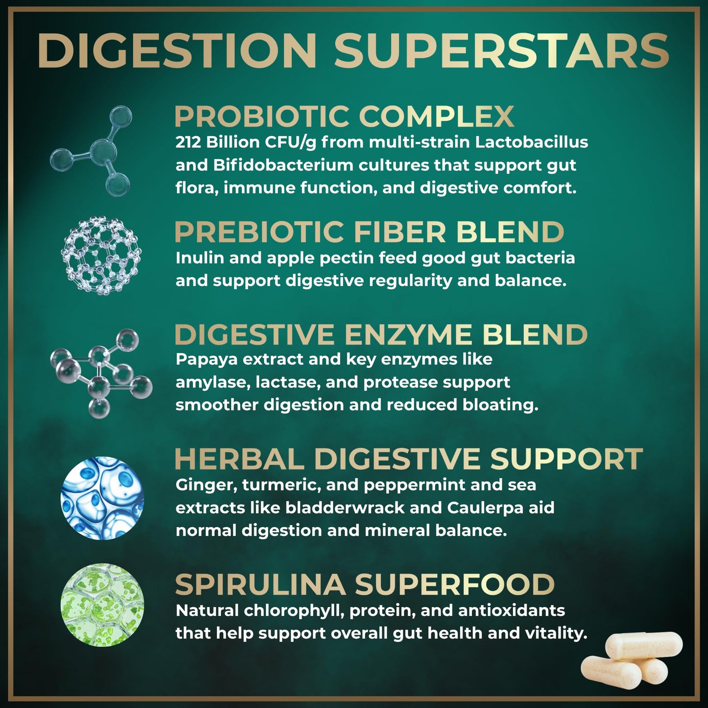 Complete Digestive Enzymes for Women & Men - 800mg Vegan Digestive Enzymes and Probiotics Prebiotics - Bloating Support, Gut Health & Digestion Supplement - Maple Wellness Supplements