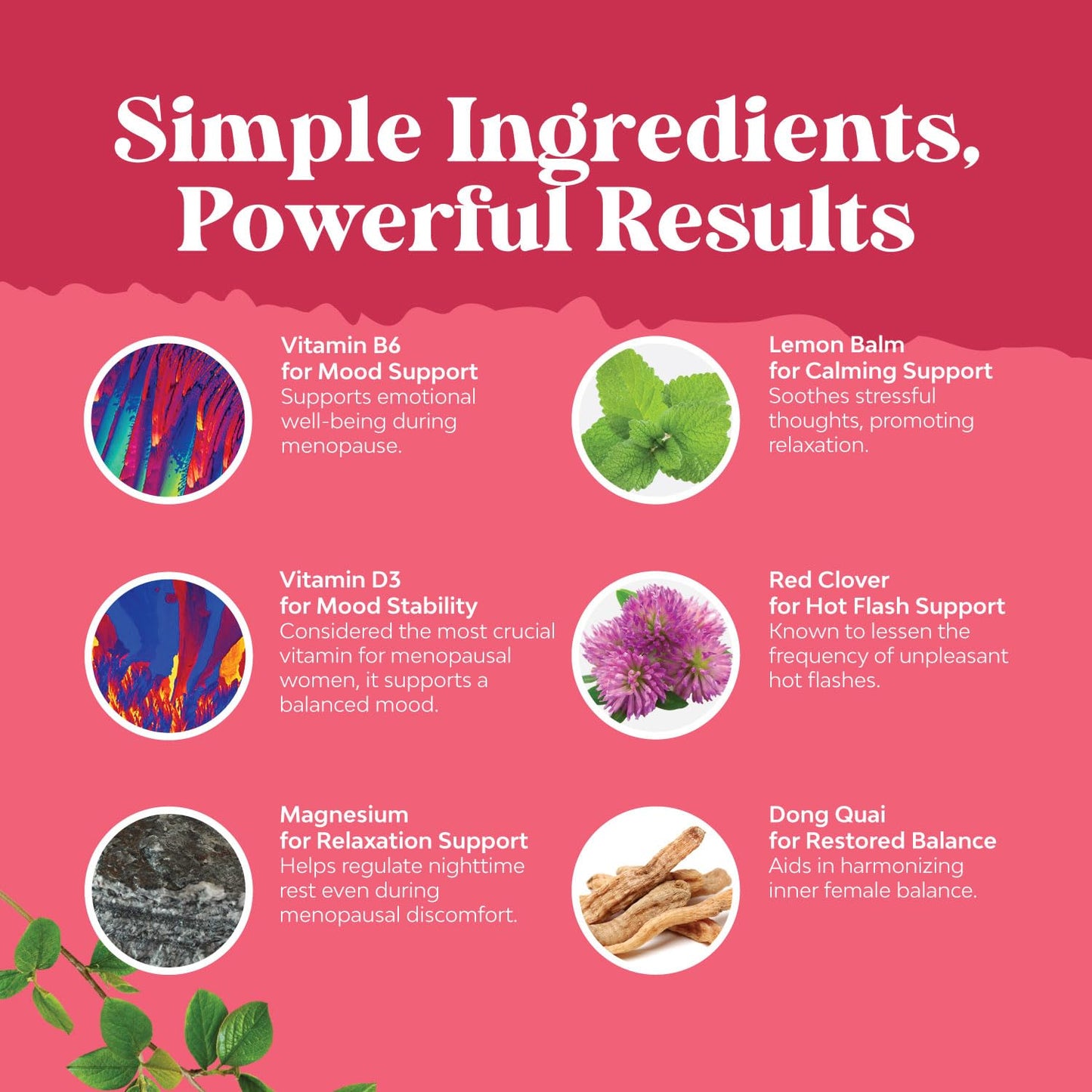 Complete Herbal Menopause Supplement for Women - Female Hormone Balance Capsules for Night Sweats Hot Flashes & Mood Swings with Dong Quai, Chaste Berry & Black Cohosh Root - 120 Count Pack - Maple Wellness Supplements