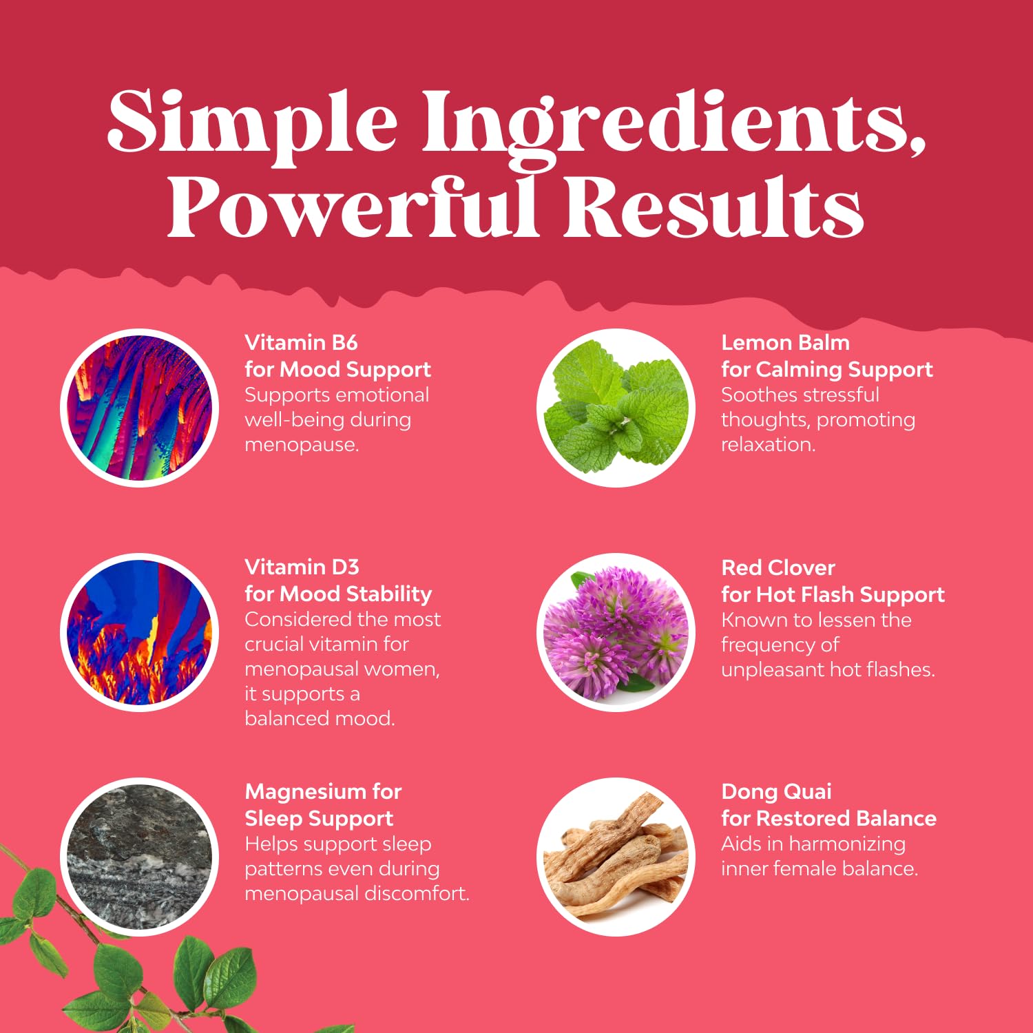 Complete Herbal Menopause Supplement for Women - Multibenefit Menopause Ease Hormone Balance for Women for Night Sweats Mood and More with Dong Quai Vitex Chaste Berry and Black Cohosh - 90 Count - Maple Wellness Supplements