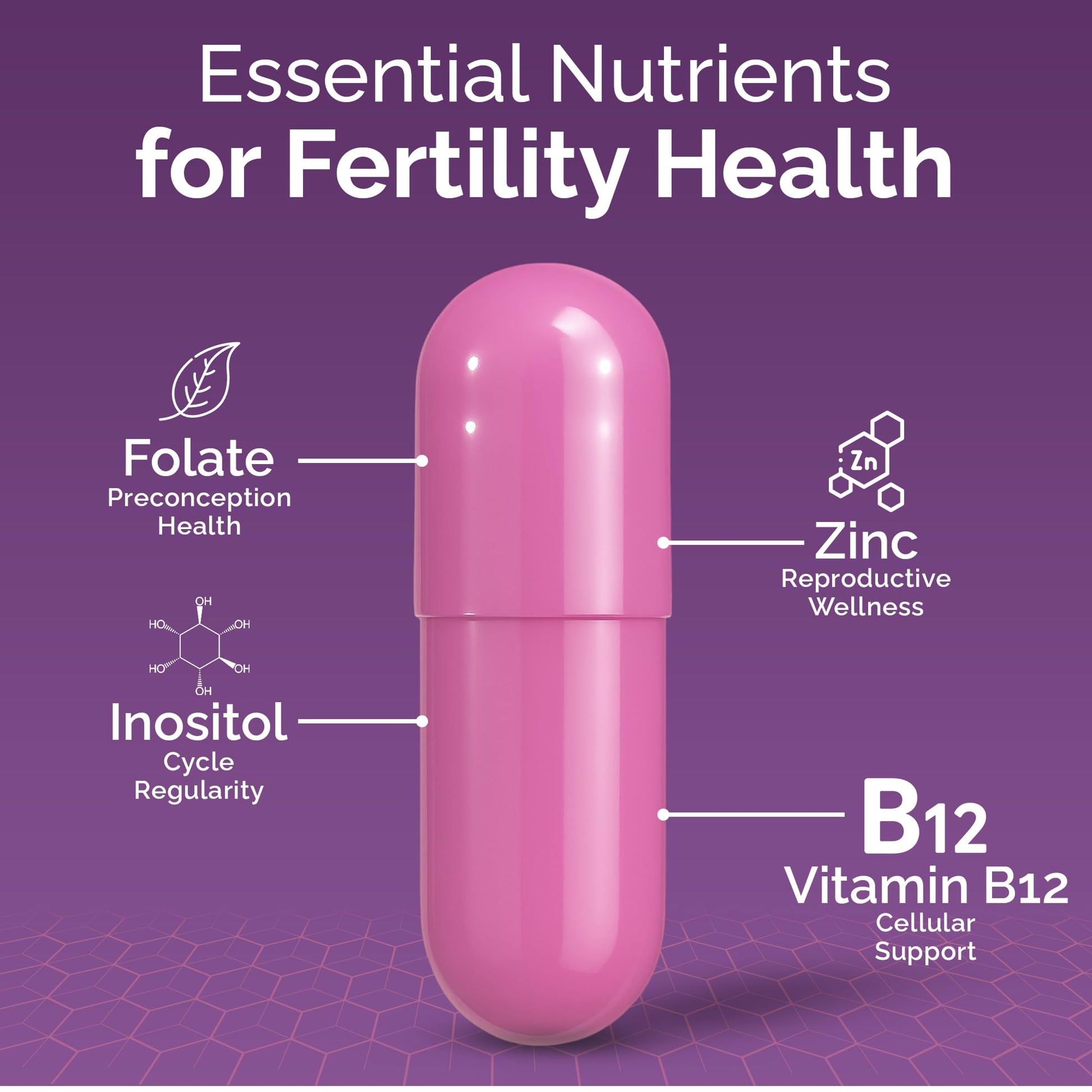 CONCEIVE PLUS Womens Fertility Support – Prenatal Multivitamin for Trying to Get Pregnant – Conception Blend, Hormonal Balance, Folate, Zinc, Thiamin, Riboflavin, Biotin – Non-GMO, Vegan – 30 Days - Maple Wellness Supplements