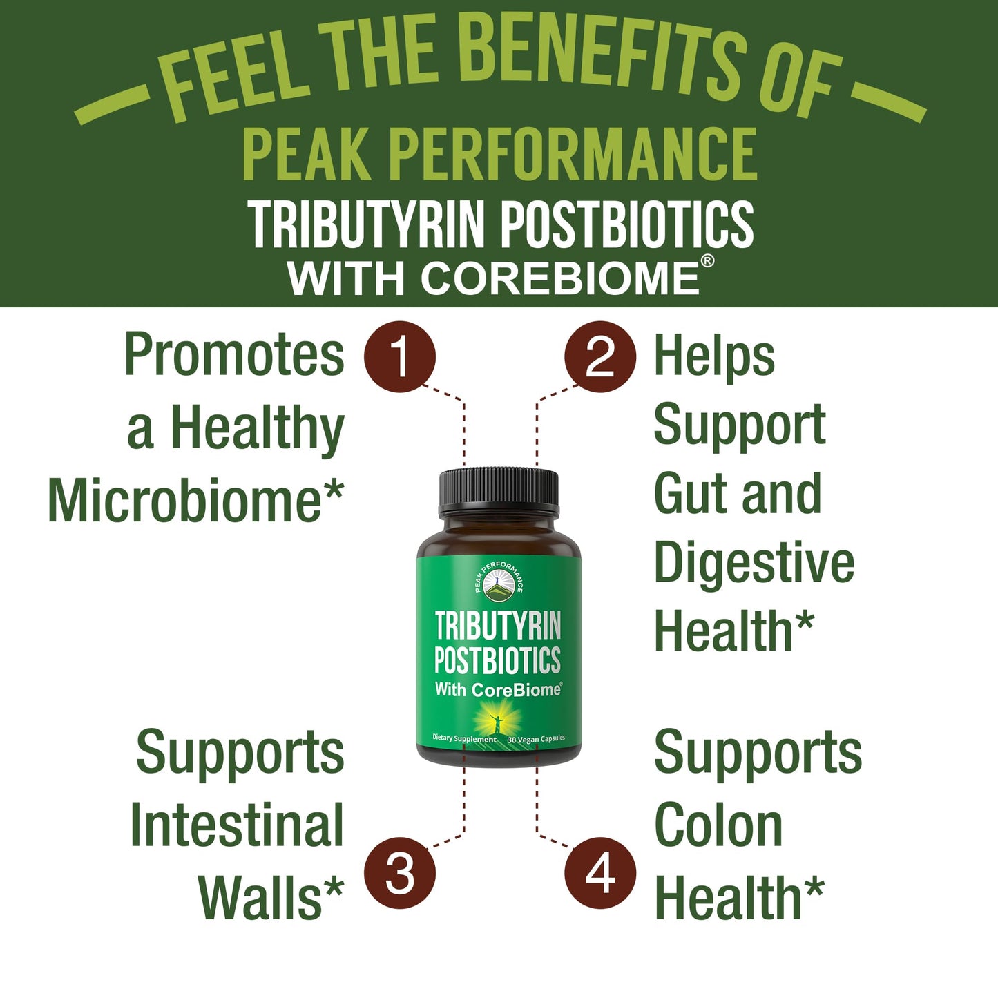 CoreBiome Tributyrin Postbiotic Supplement Clinically Tested for Gut Health. More Effective Than Sodium Butyrate Capsules. High Bioavailability Post Biotics for Digestive, Leaky Gut, Colon, Microbiome - Maple Wellness Supplements