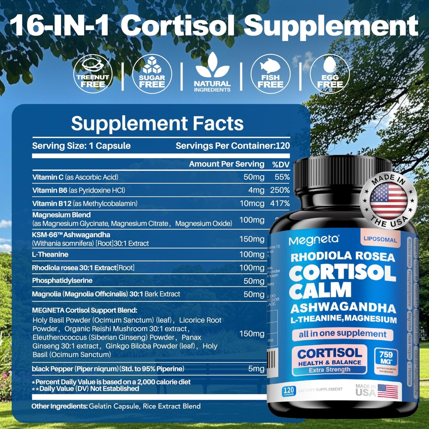 Cortisol Balance & Sleep Support for Women & Men – Natural Calm Formula with Magnesium, Ashwagandha & L-Theanine – Supports Restful Sleep, Relaxation, Focus & Healthy Cortisol Levels – 120 Capsules - Maple Wellness Supplements