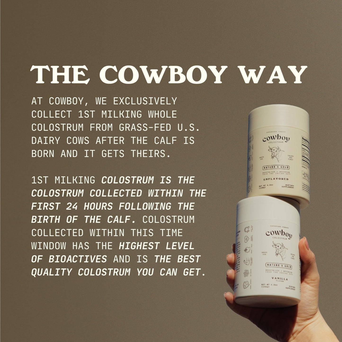 Cowboy - The Exclusive 1st Milking, Whole, Grass Fed Colostrum Supplement for Full Body Health - Sugar Free Bovine Colostrum Powder Packed with Bioactive(Vanilla & Chocolate) Nutrients - Maple Wellness Supplements