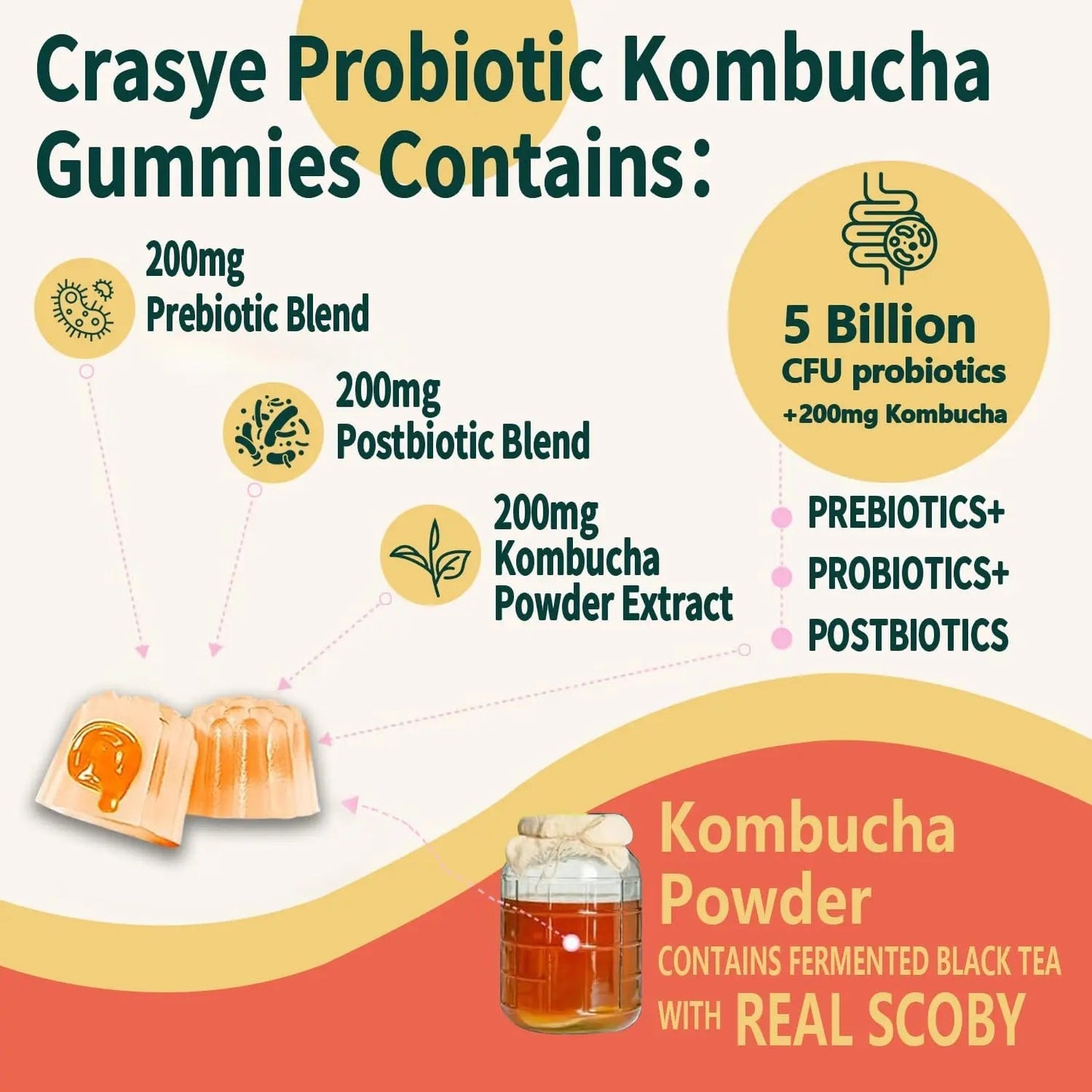 Crasye Probiotic Kombucha Gummies Sugar Free Prebiotic Postbiotic Probiotics Gummy for Women and Men Bloating Gut Health Immune and Digestive Support - 60 Gummies - 30 Servings - Maple Wellness Supplements