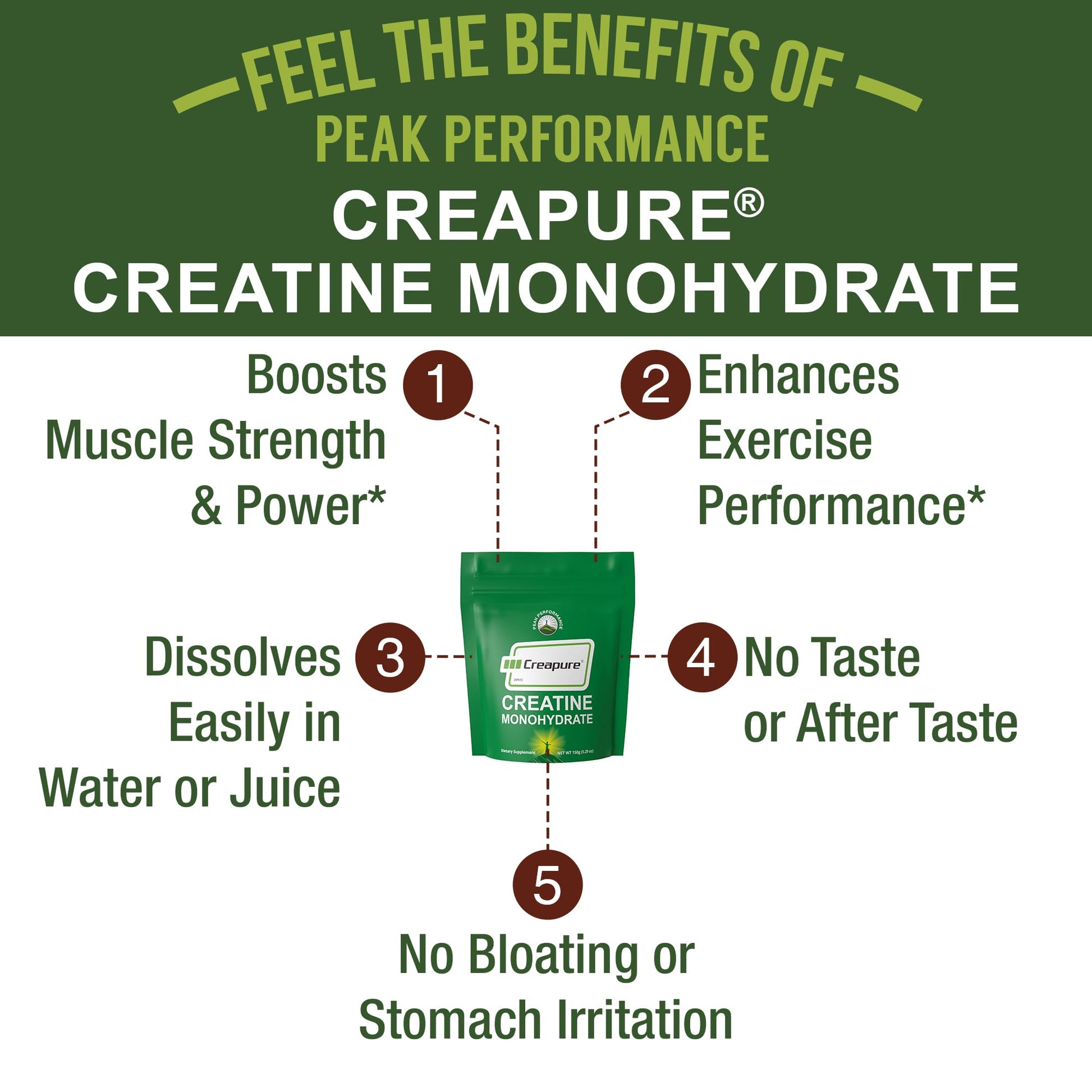 Creapure Creatine Monohydrate Powder. Ultra High Purity German Made Creatine with Nothing Else Added at All. Pure and Unflavored for Men & Women. - Maple Wellness Supplements