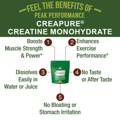 Creapure Creatine Monohydrate Powder. Ultra High Purity German Made Creatine with Nothing Else Added at All. Pure and Unflavored for Men & Women. - Maple Wellness Supplements