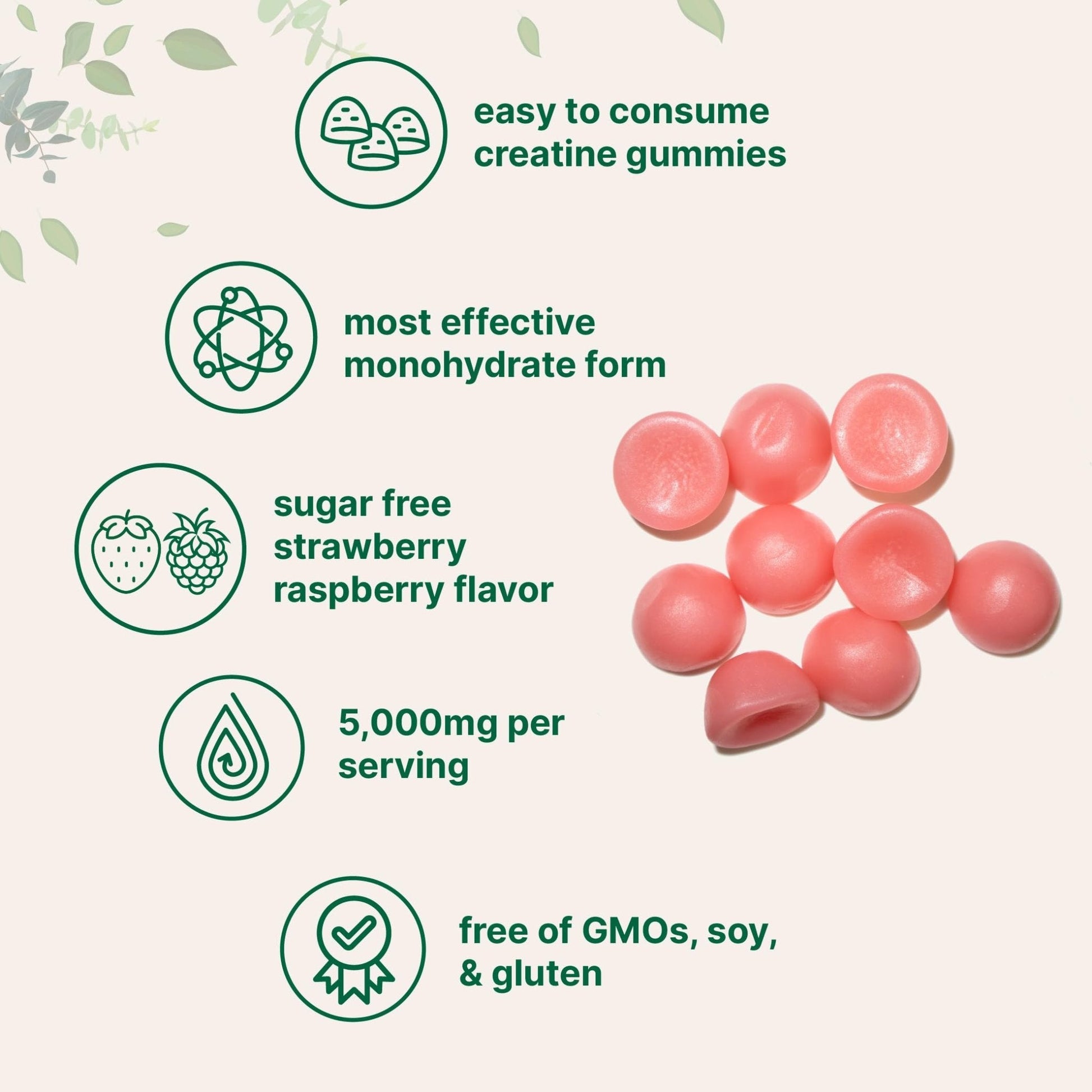 Creatine Monohydrate Gummies 5,000mg Per Serving, 120 Count | Sugar Free Strawberry Raspberry Flavored | Creatine for Women & Men | Pre Workout + Muscle Strength & Recovery Support | Non-GMO - Maple Wellness Supplements